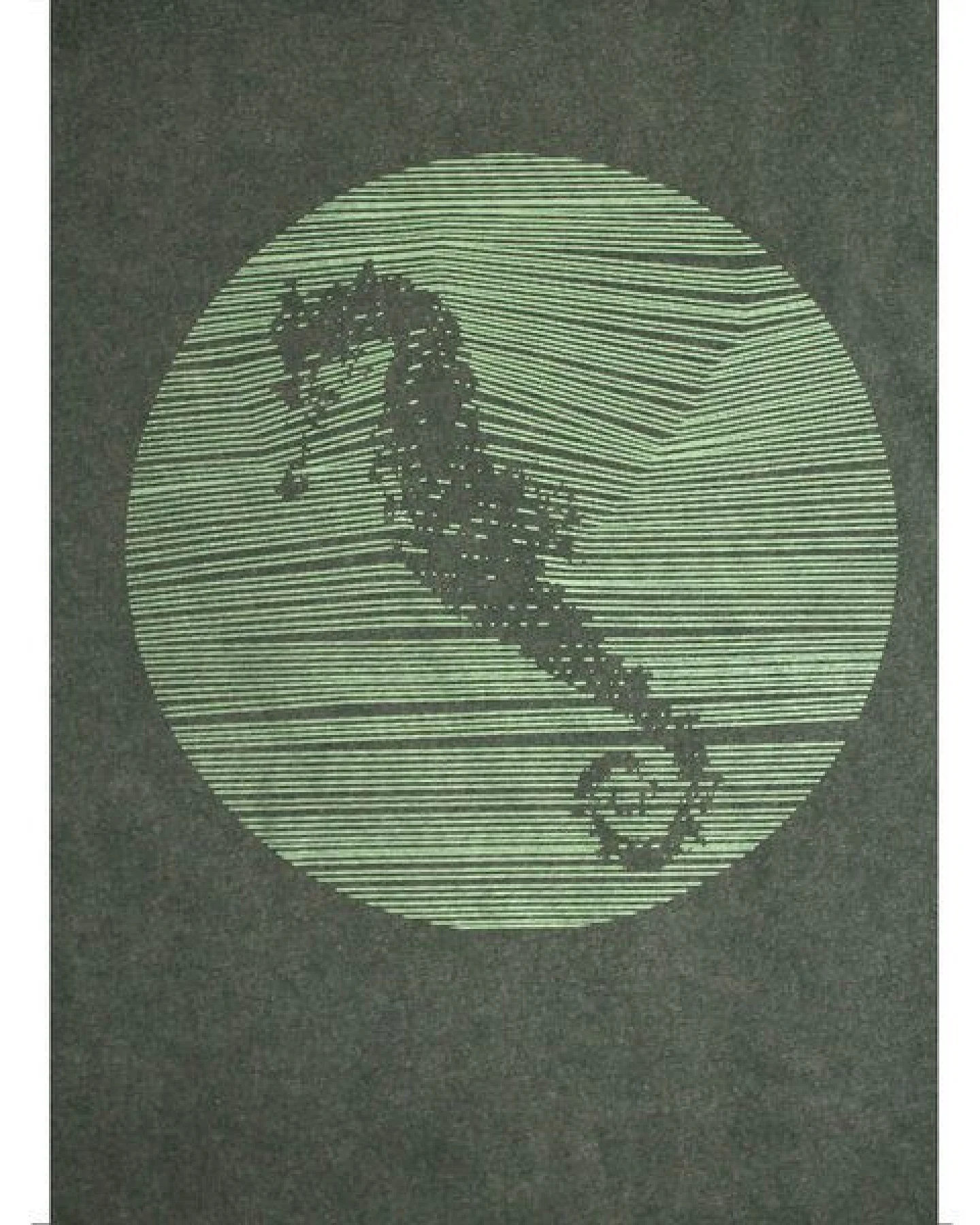 FÄDD Damen T-Shirt Rundhals aus Bio-Baumwolle "Hippocampus" Grün – Ansicht 2