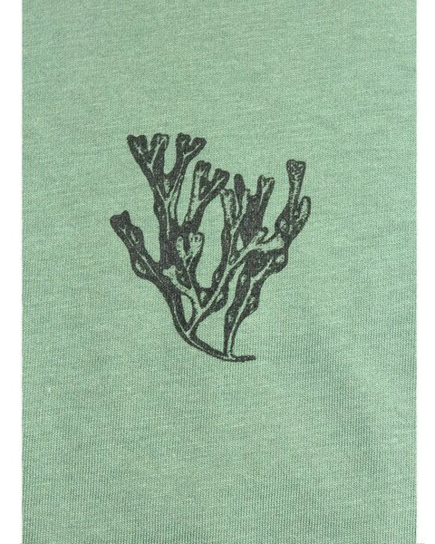 FÄDD Damen T-Shirt Rundhals aus Bio-Baumwolle "Blasentang" Grün – Ansicht 2