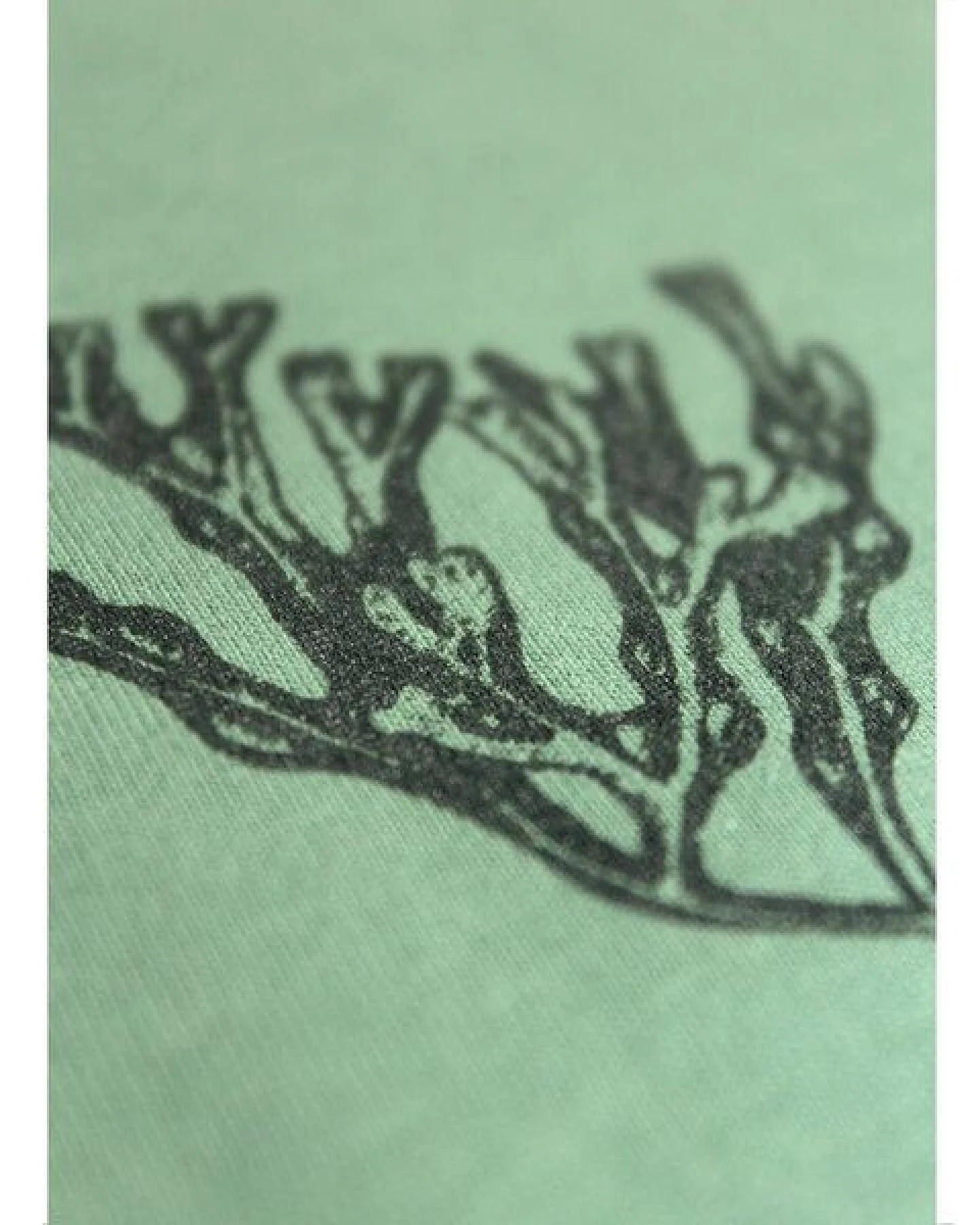 FÄDD Damen T-Shirt Rundhals aus Bio-Baumwolle "Blasentang" Grün – Ansicht 4