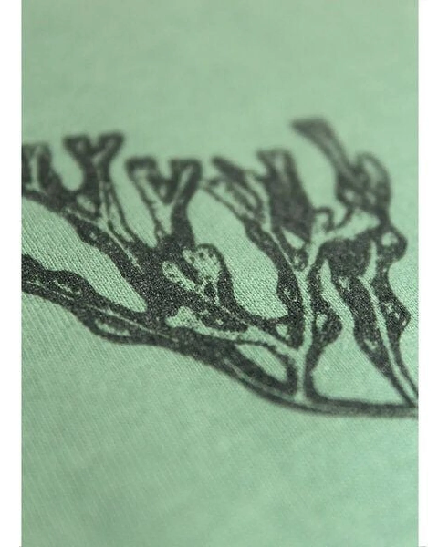 FÄDD Damen T-Shirt Rundhals aus Bio-Baumwolle "Blasentang" Grün – Ansicht 4