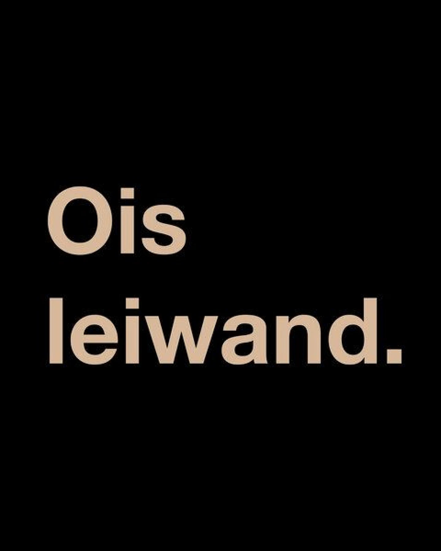 GARY MASH T-Shirt Ois leiwand. aus Biobaumwolle – Ansicht 4
