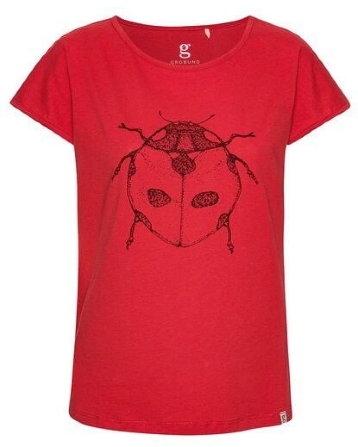 Rot Mit Marienkäfer