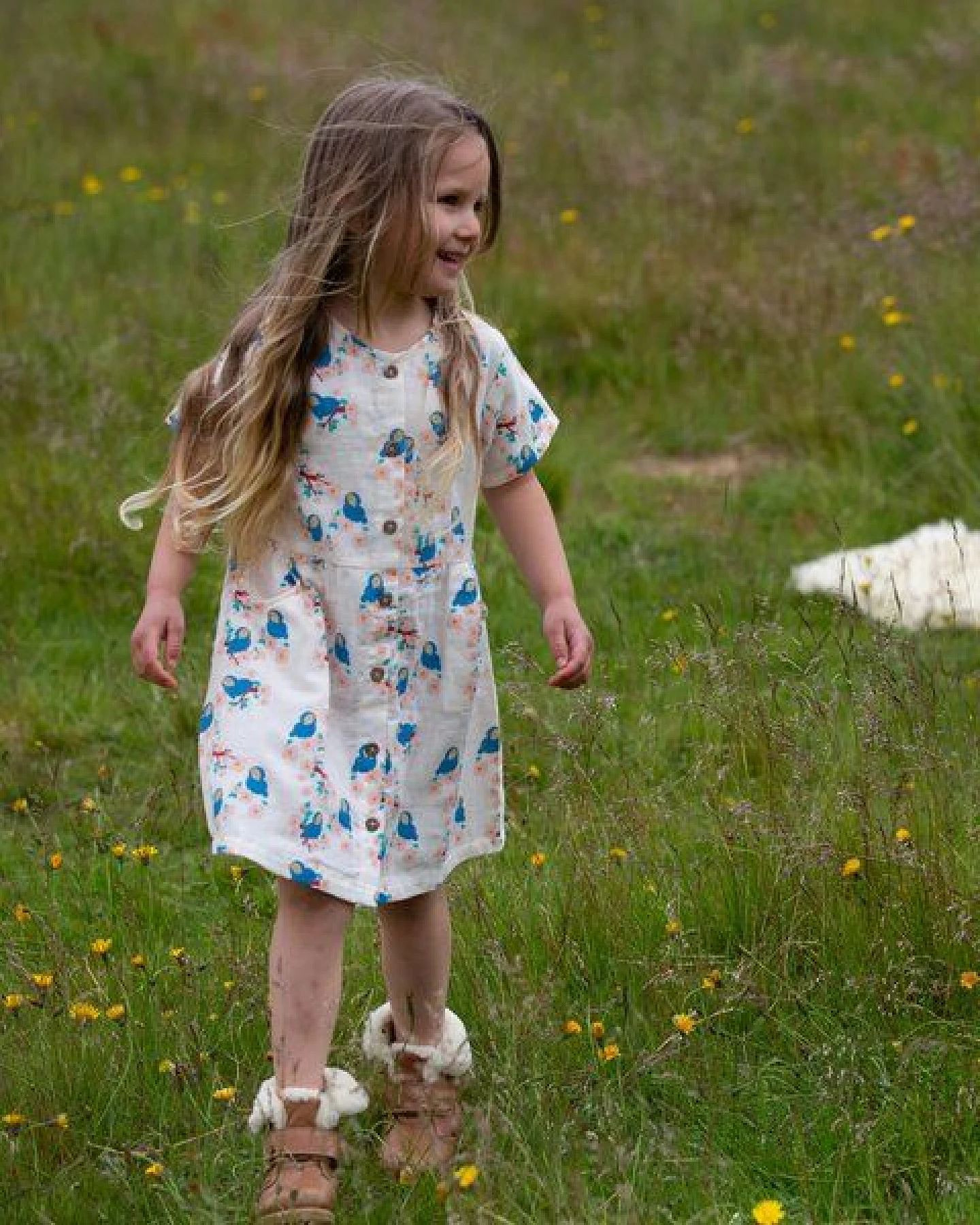 Little Green Radicals Kinder-Sommerkleid mit Knopfleiste – Fairtrade & GOTS-zertifiziert – Ansicht 2