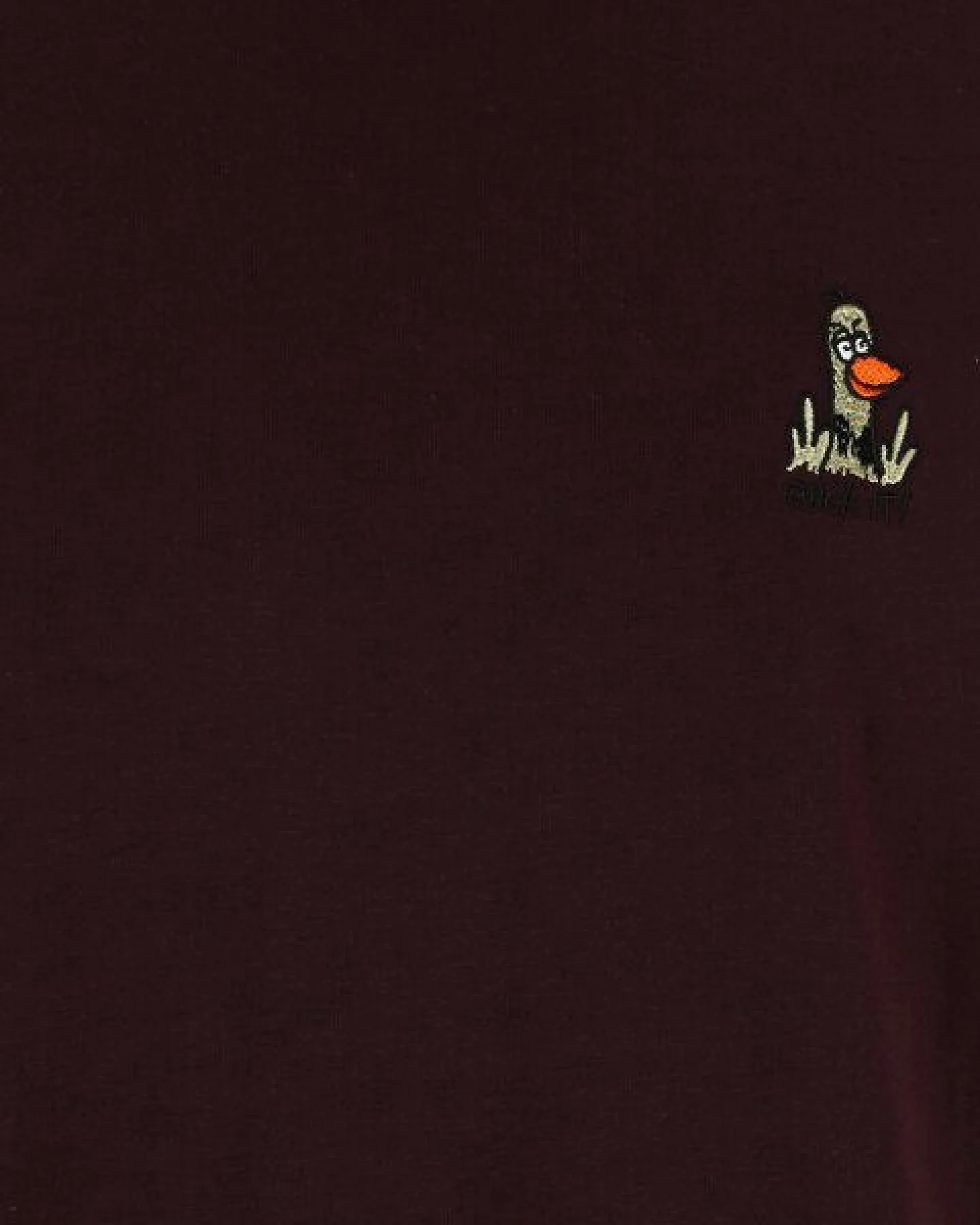 Iriedaily What The Duck Tee – Ansicht 3