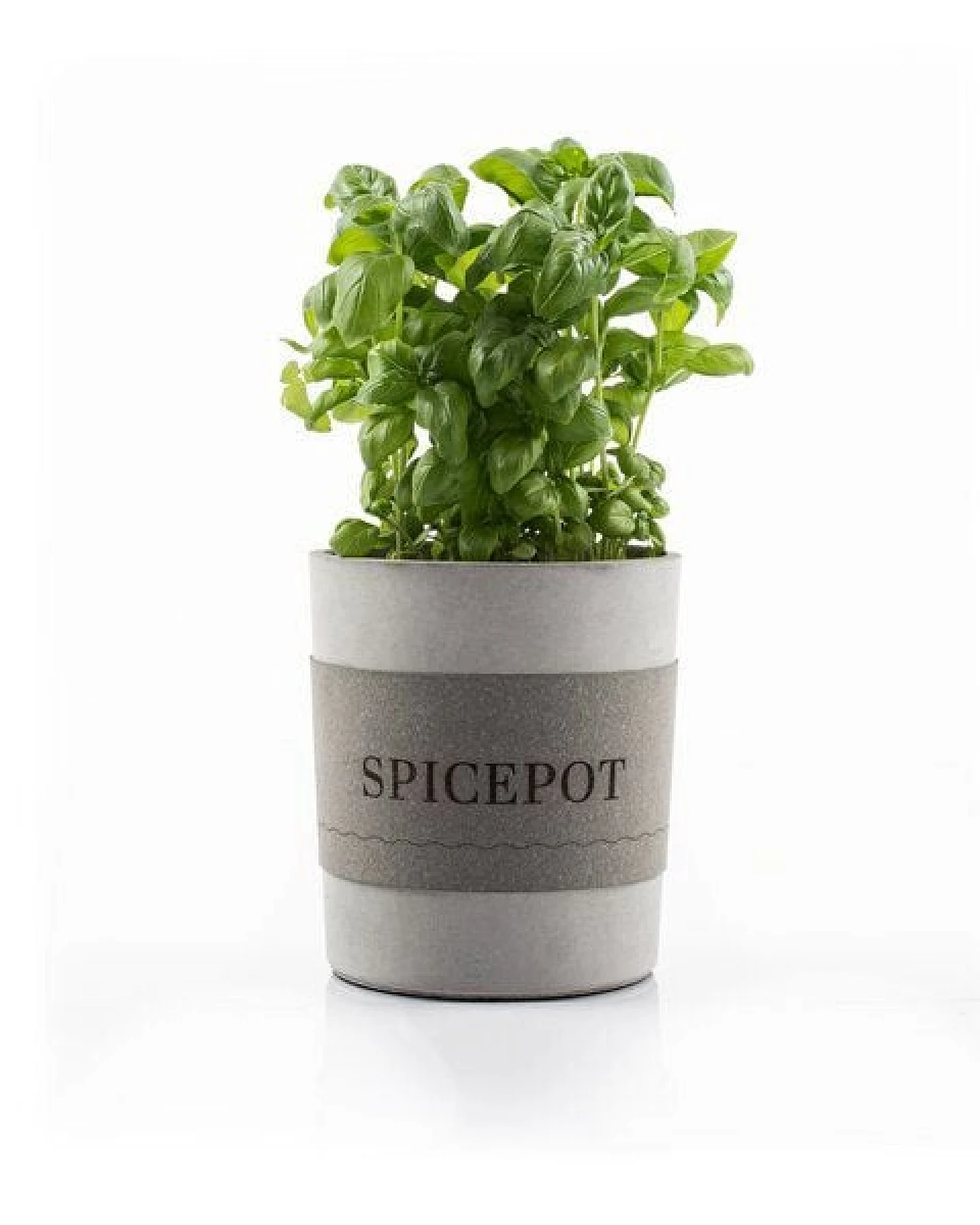 URBANATURE Beton Übertopf SPICEPOT – Ansicht 2