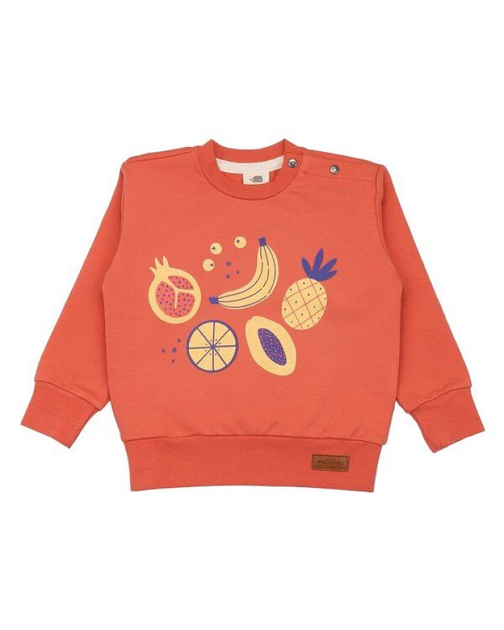 Kinder Sweatshirt GOTS zertifiziert, orange, „Cheerful Fruits“ Frontprint, Bio-Baumwolle, weich – Walkiddy