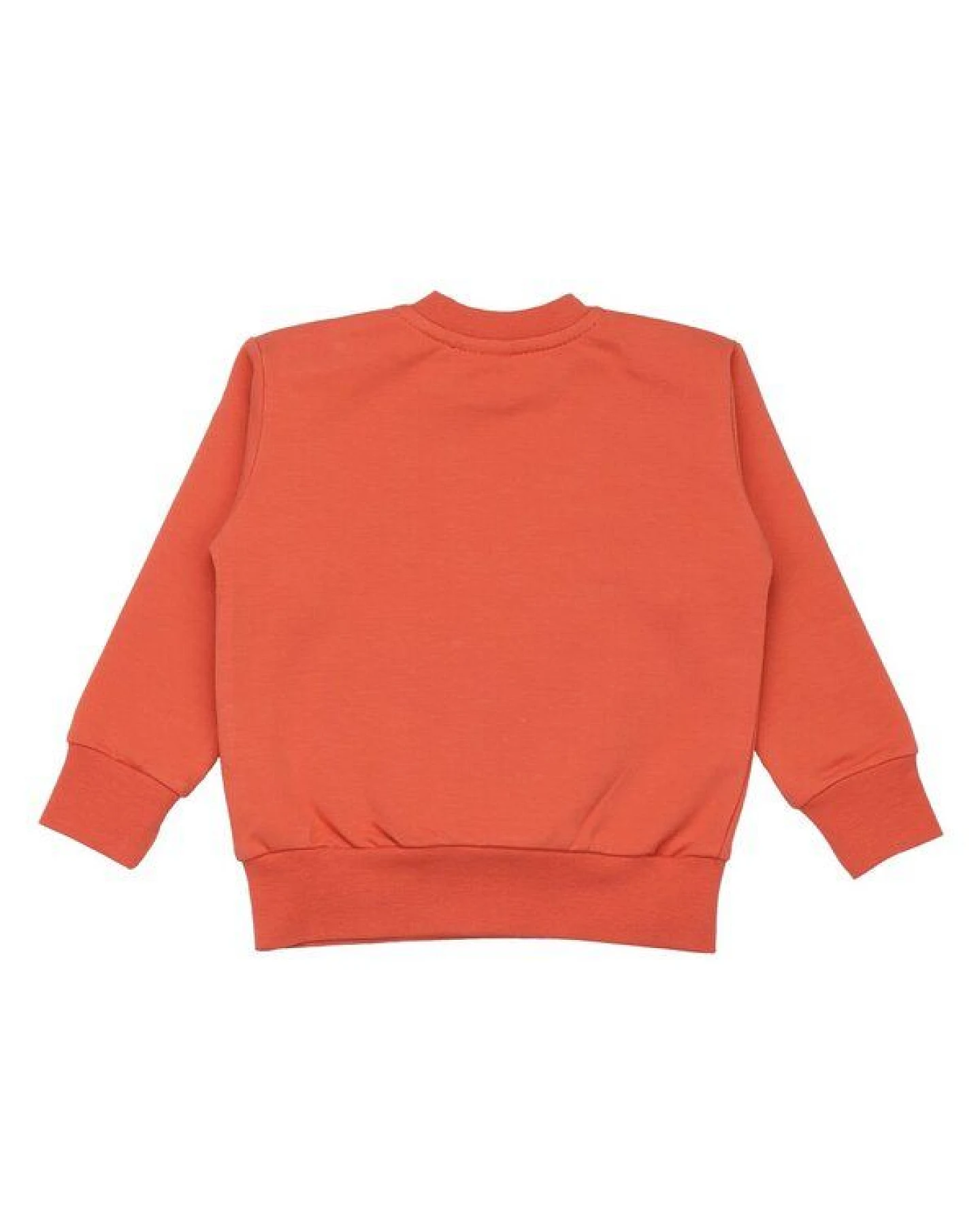 Kinder Sweatshirt GOTS zertifiziert, orange, „Cheerful Fruits“ Frontprint, Bio-Baumwolle, weich – Walkiddy – Ansicht 3