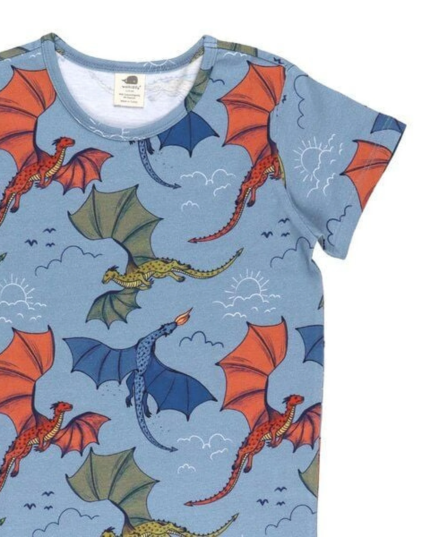 Kinder T-Shirt GOTS zertifiziert Bio-Baumwolle, Hellblau, Drachen-Muster, Walkiddy – Ansicht 4