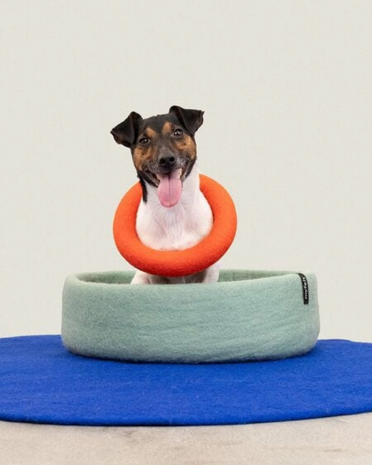 myfelt Hundespielzeug - Ring – Ansicht 2