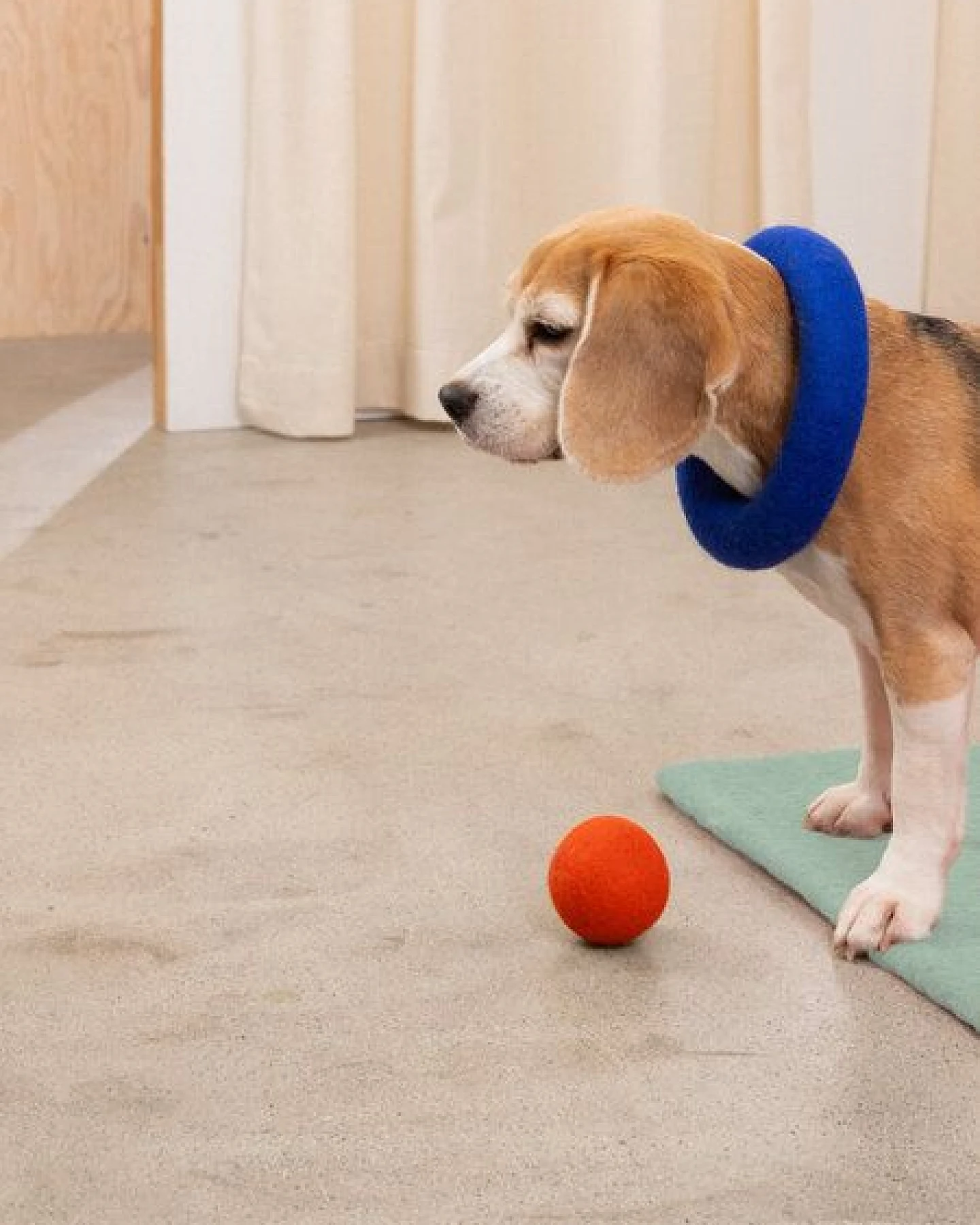 myfelt Hundespielzeug Ball Set – Ansicht 4