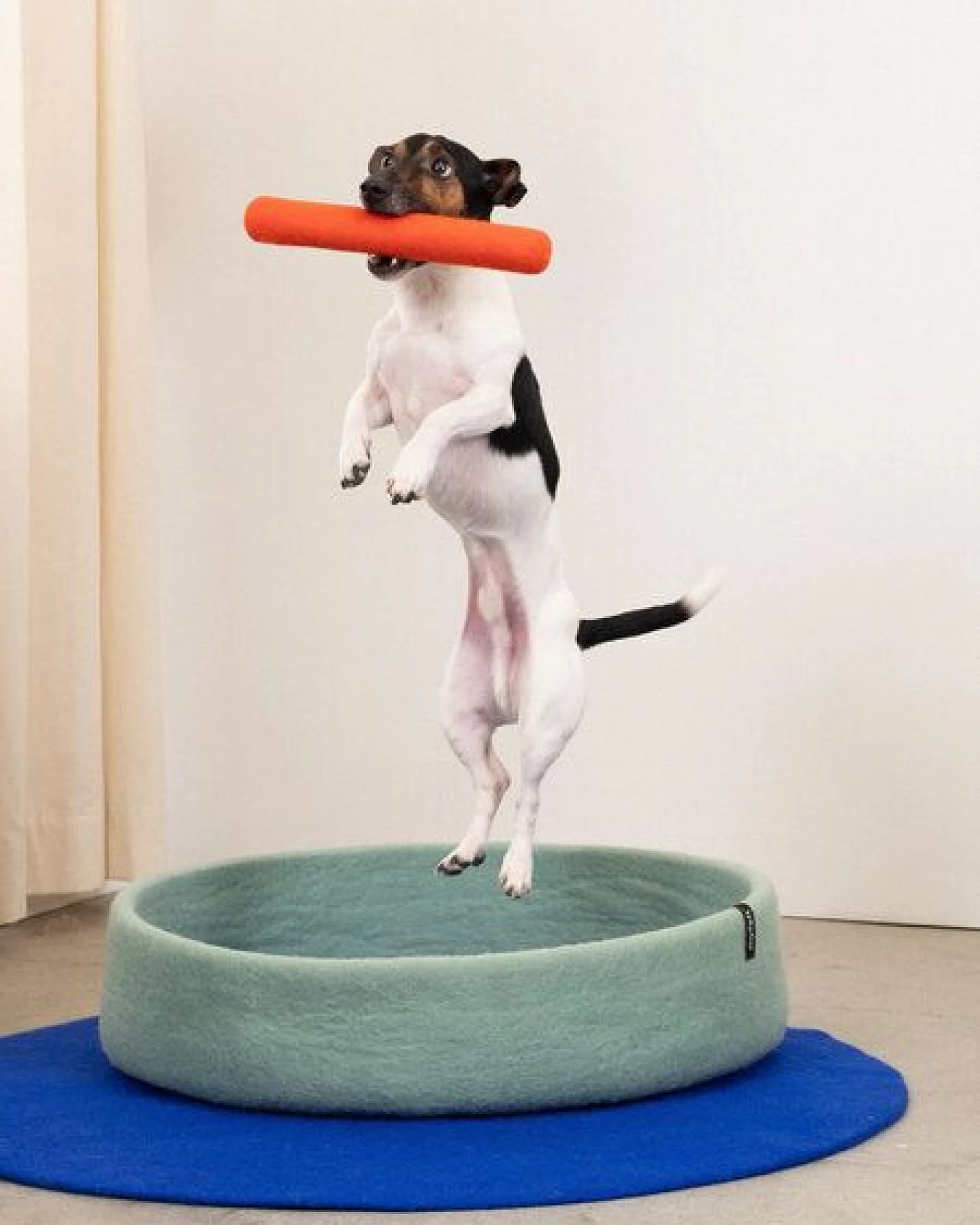 myfelt Hundespielzeug Stock – Ansicht 2