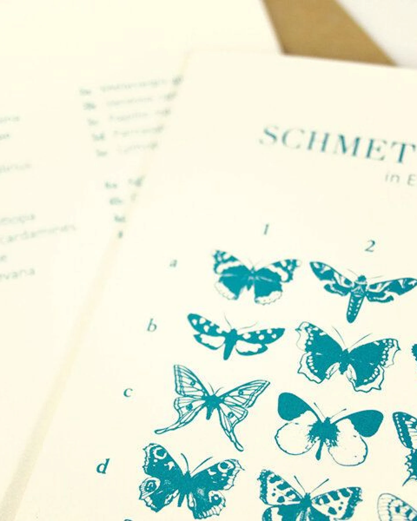 Bow & Hummingbird Grußkarte Schmetterlinge in Europa – Ansicht 2