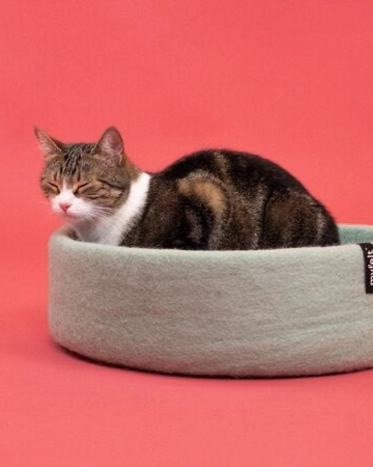 myfelt Katzenkorb – Ansicht 4