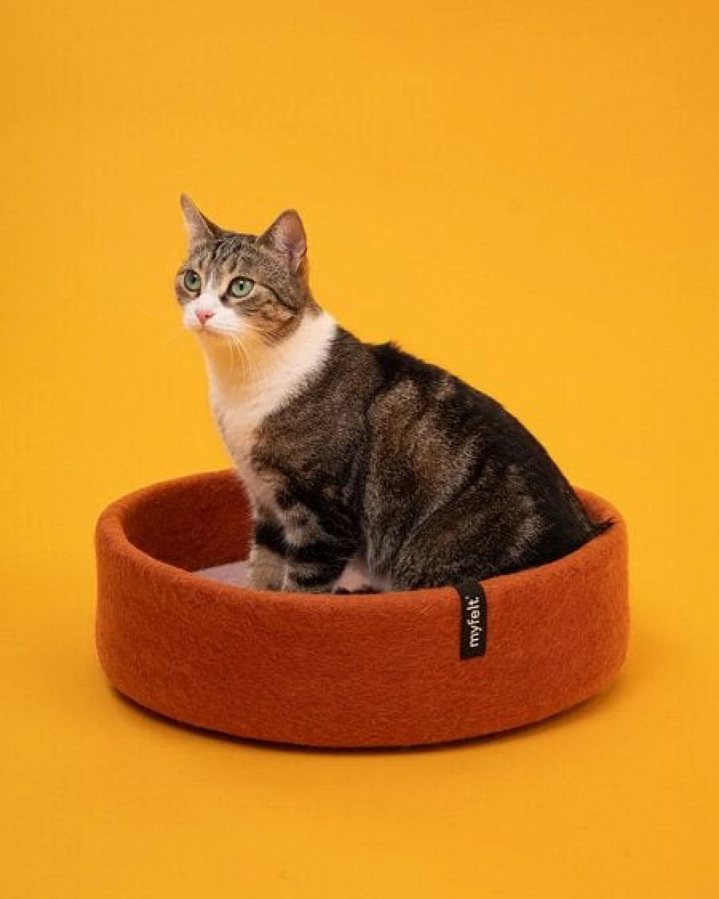 myfelt Katzenkorb – Ansicht 2
