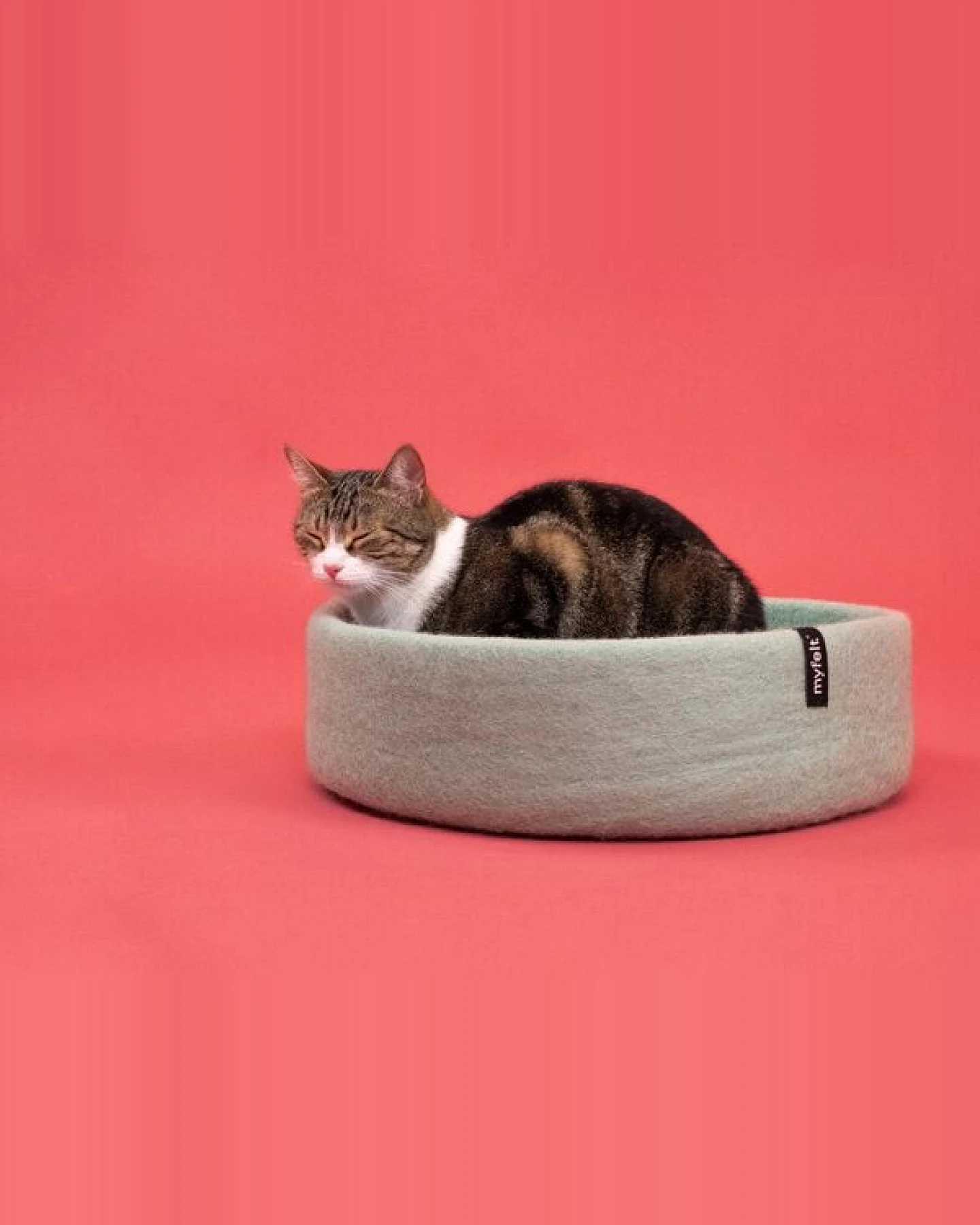 myfelt Katzenkorb – Ansicht 4