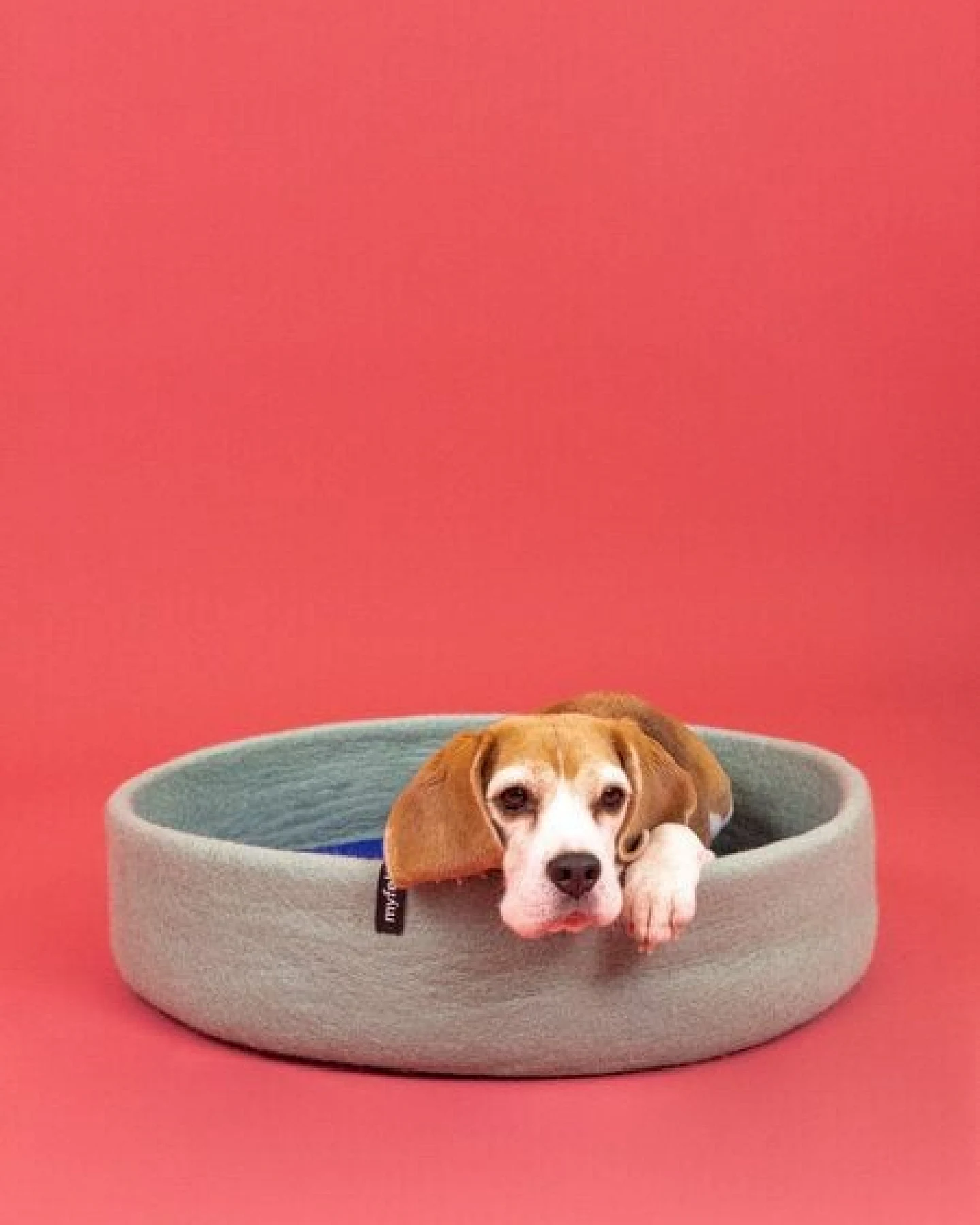 myfelt Hundekorb – Ansicht 4