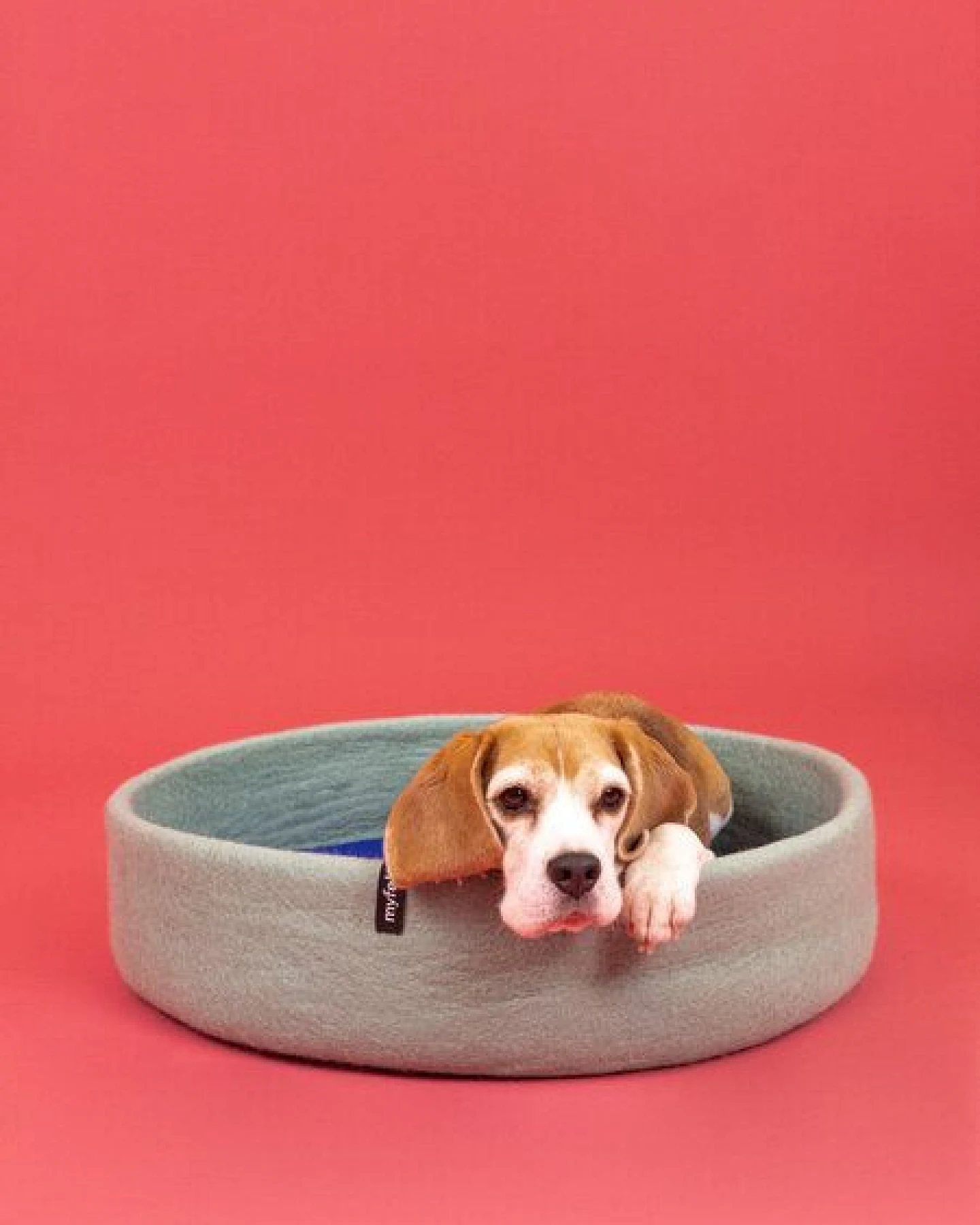 myfelt Hundekorb – Ansicht 4