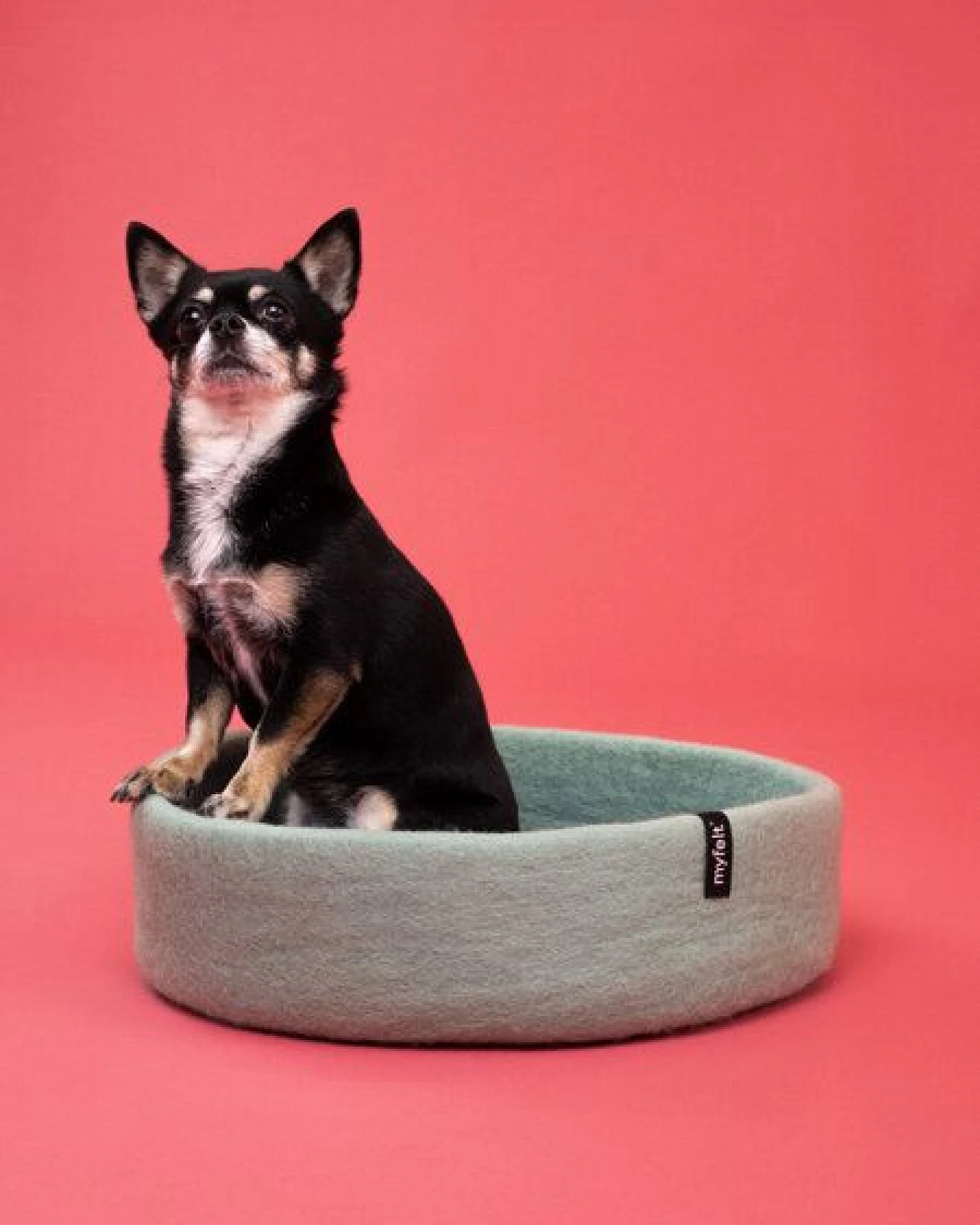myfelt Hundekorb – Ansicht 2