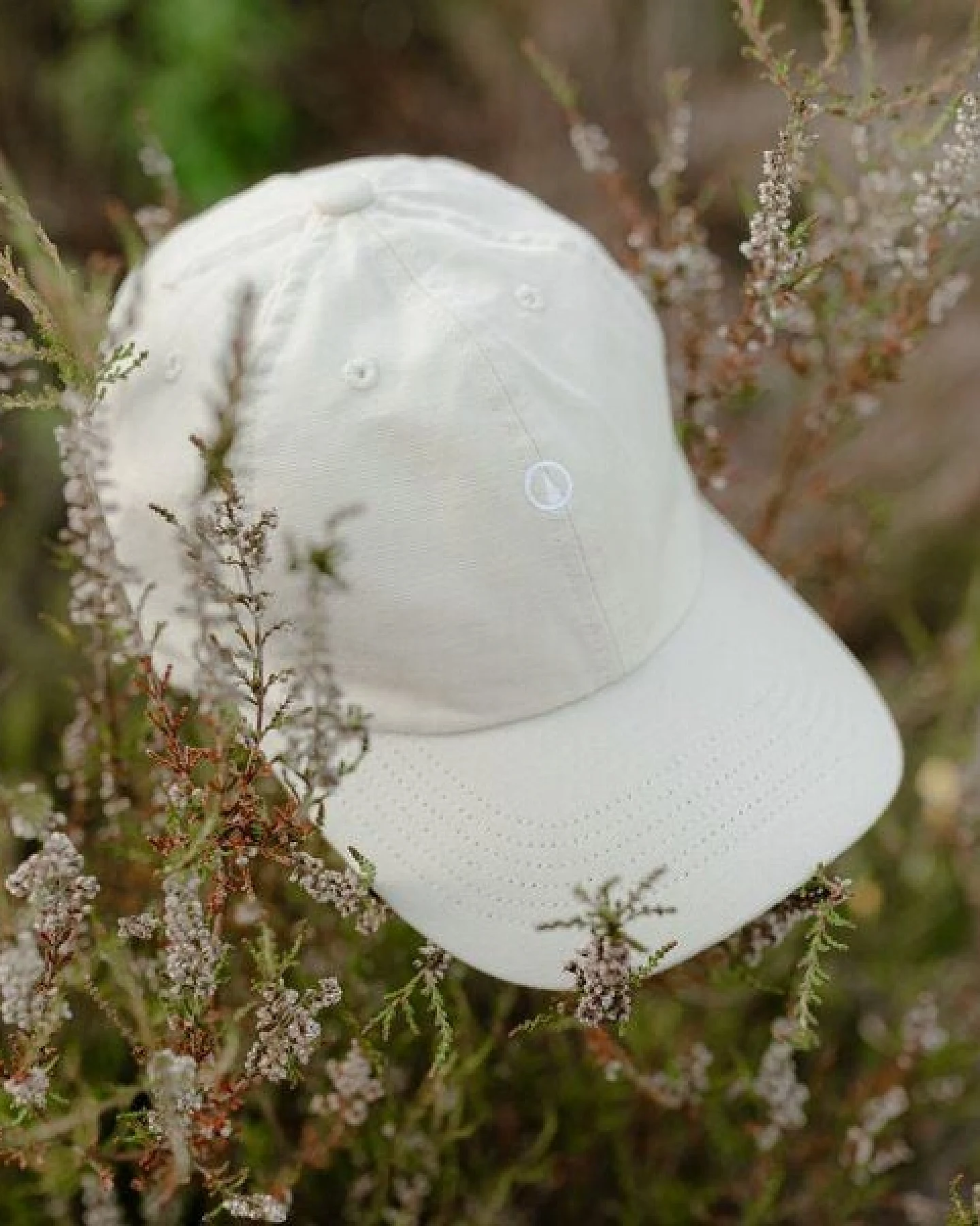 NORDLICHT Damen Herren Dad Cap Kappe aus 100% Bio-Baumwolle – Ansicht 4