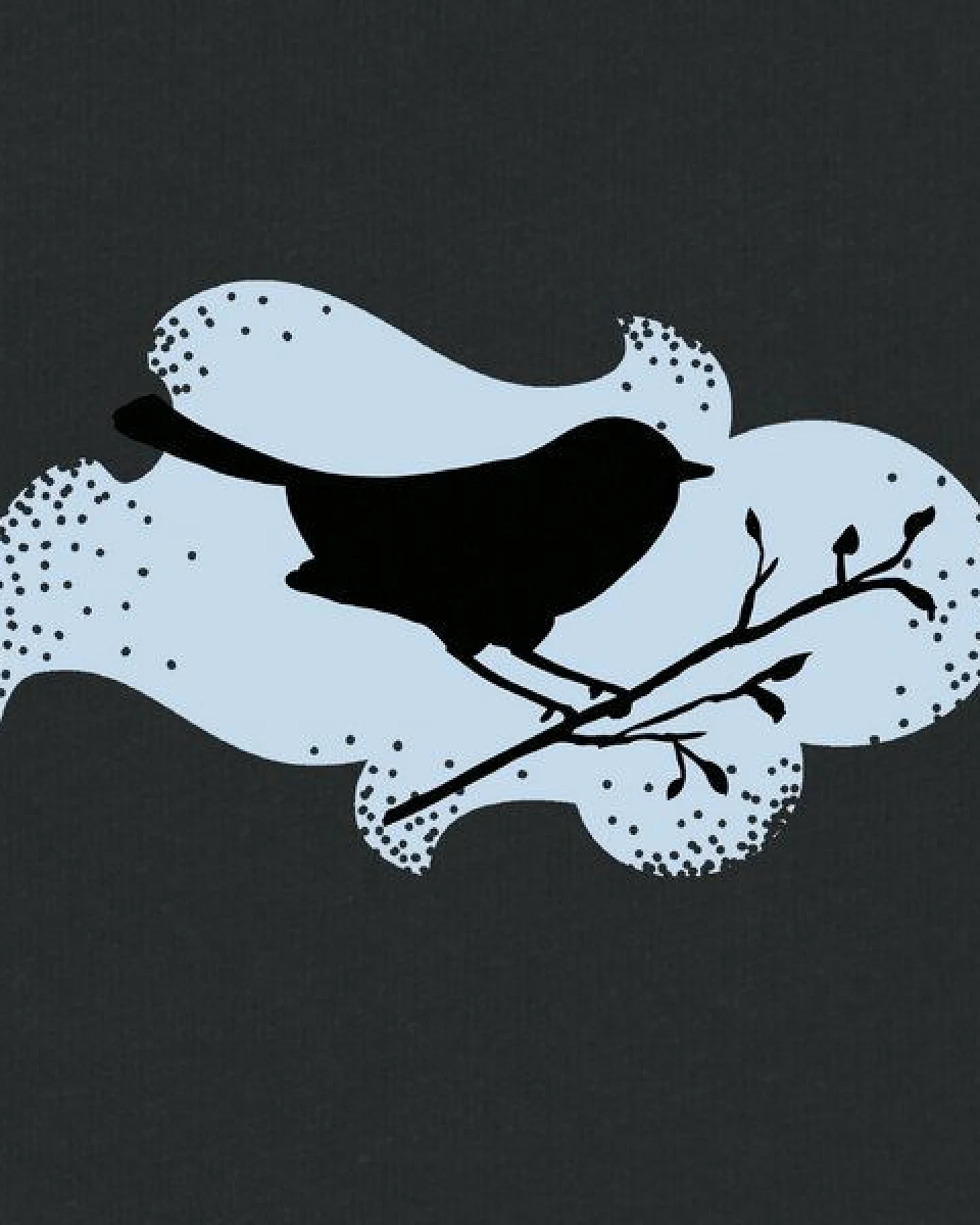 Spangeltangel Kinder-T-Shirt "Vogel", Biobaumwolle, bedruckt – Ansicht 2