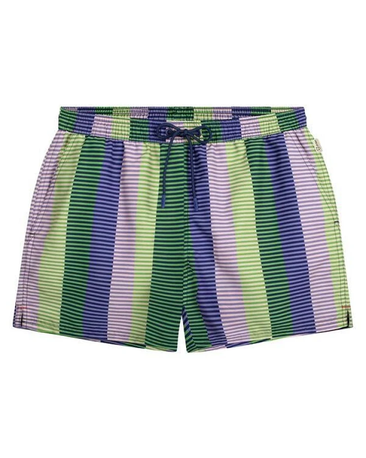 Purple Stripe (Pink)