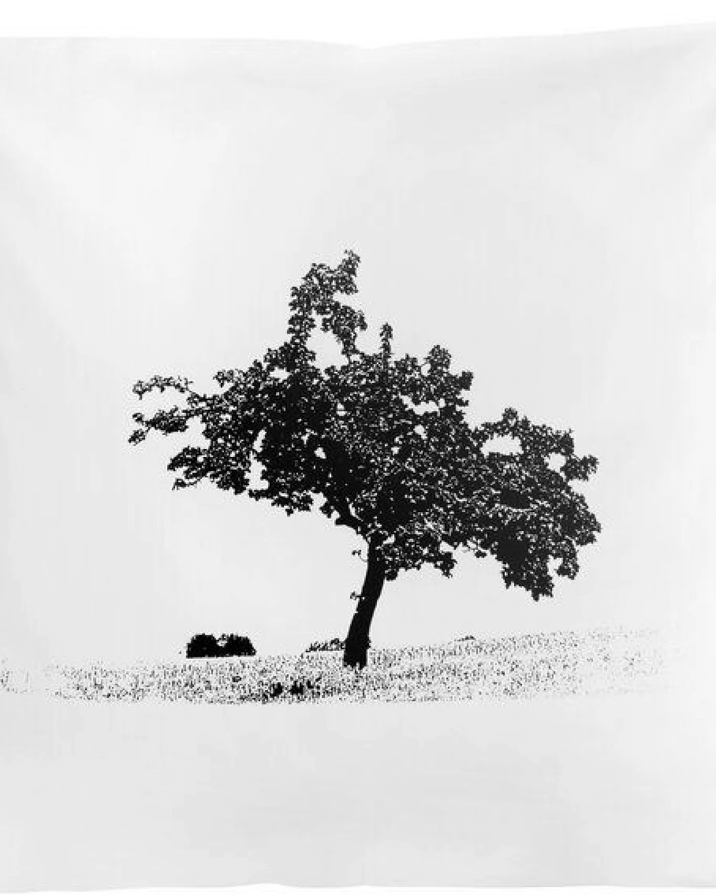 Hirschkind Bio-Kissenbezug 'Apfelbaum' weiß mit schwarzem Druck 40*40 cm – Ansicht 3