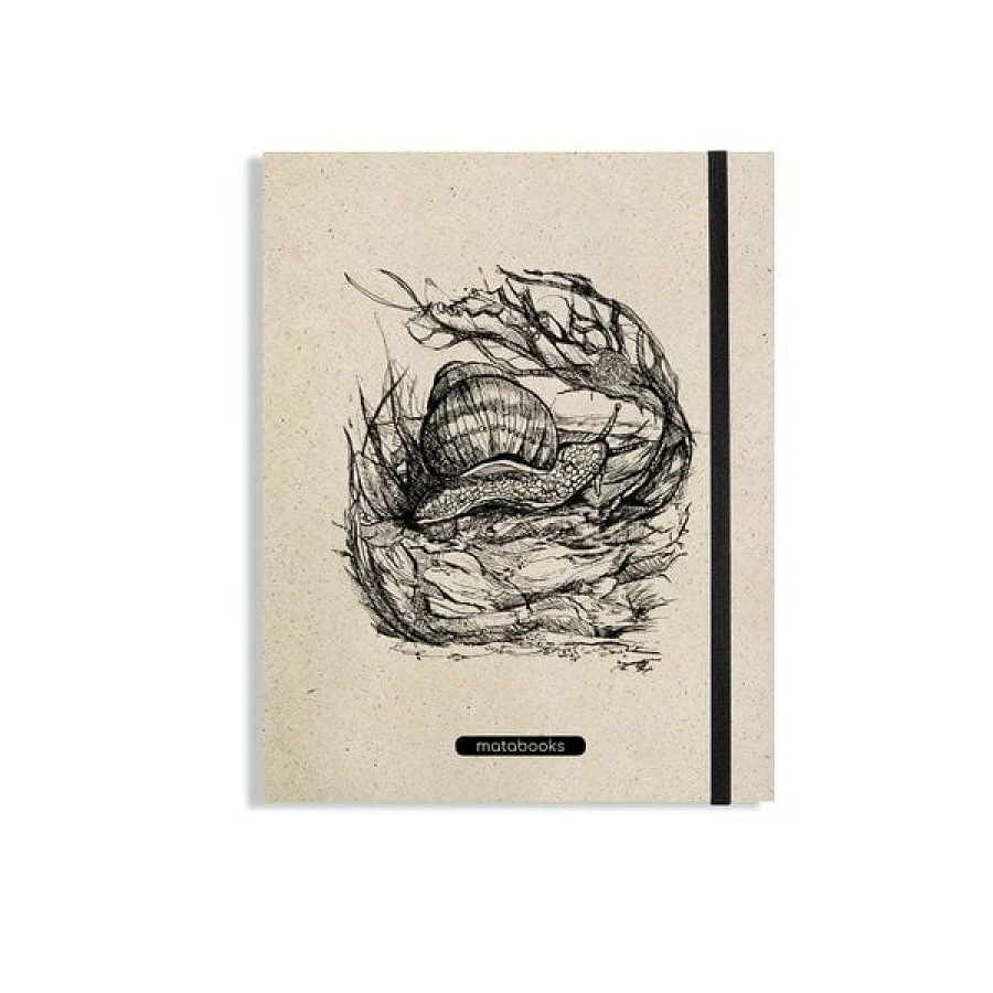 Snail