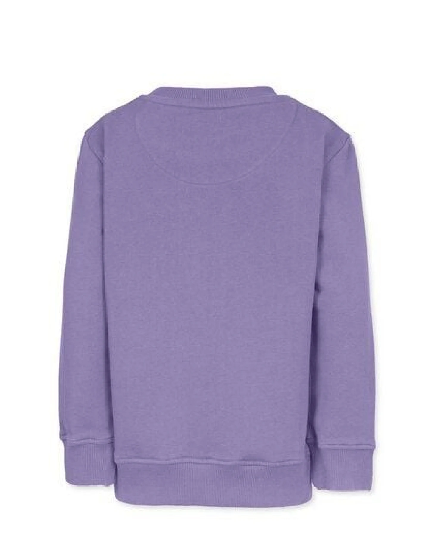 Band of Rascals Party Sweat – Ansicht 4
