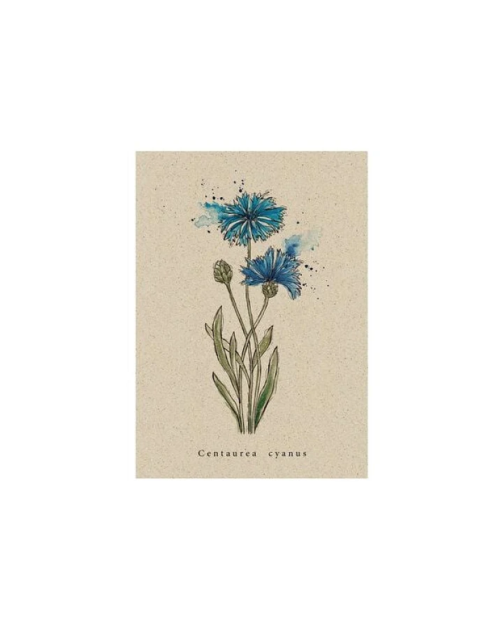 matabooks® Vintage botanische A6 Postkarte mit Blumenmotiv aus nachhaltigem Graspapier