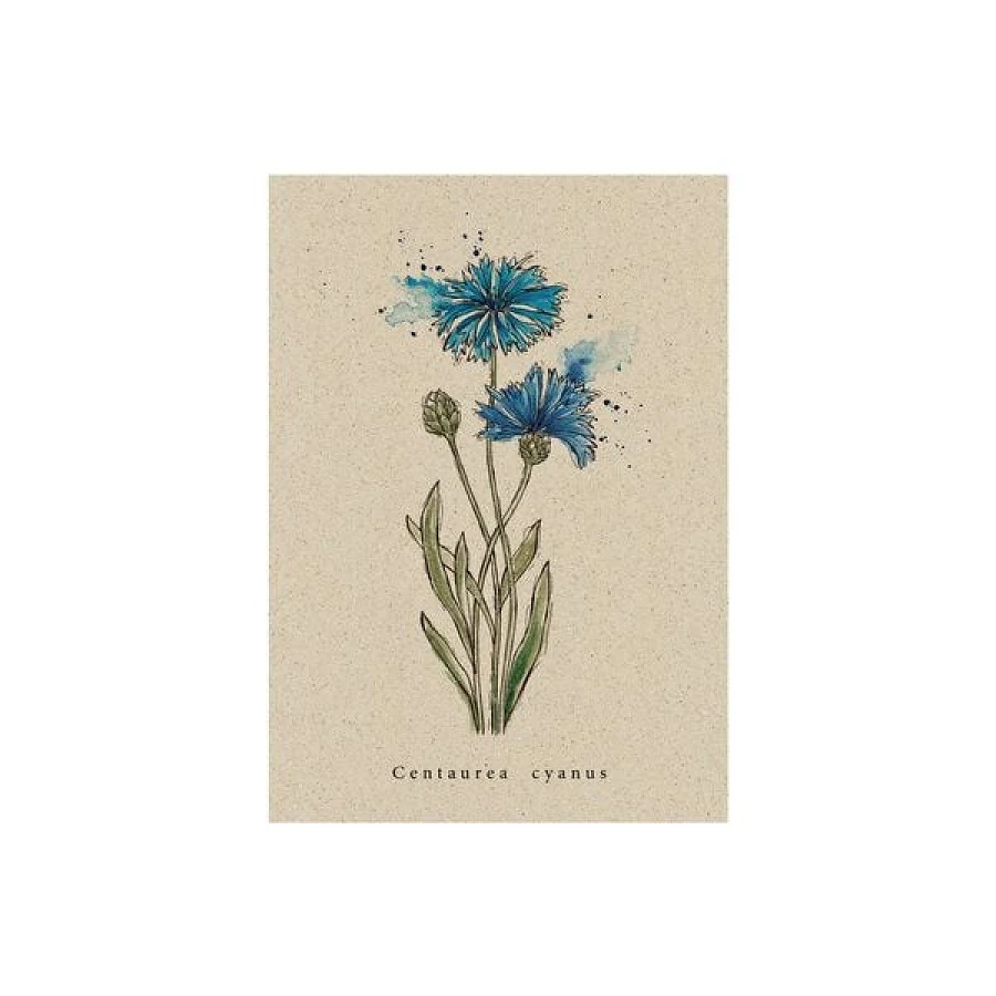 Blau