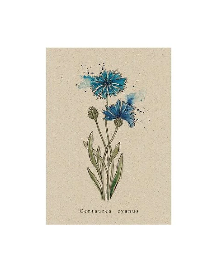 matabooks® Vintage botanische A6 Postkarte mit Blumenmotiv aus nachhaltigem Graspapier