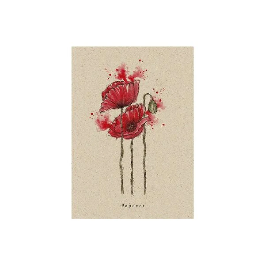 Mohn