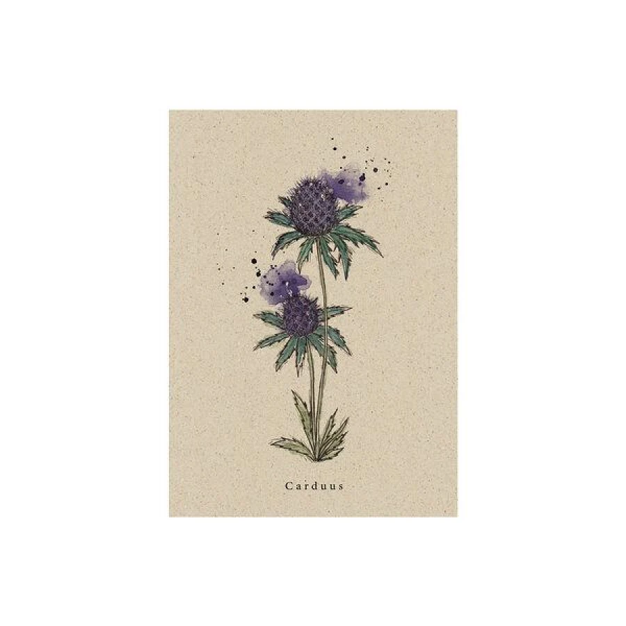 Distel