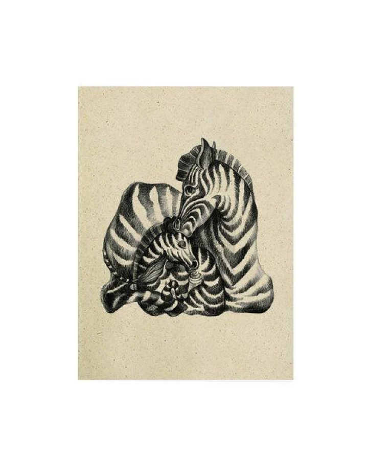 Zebra