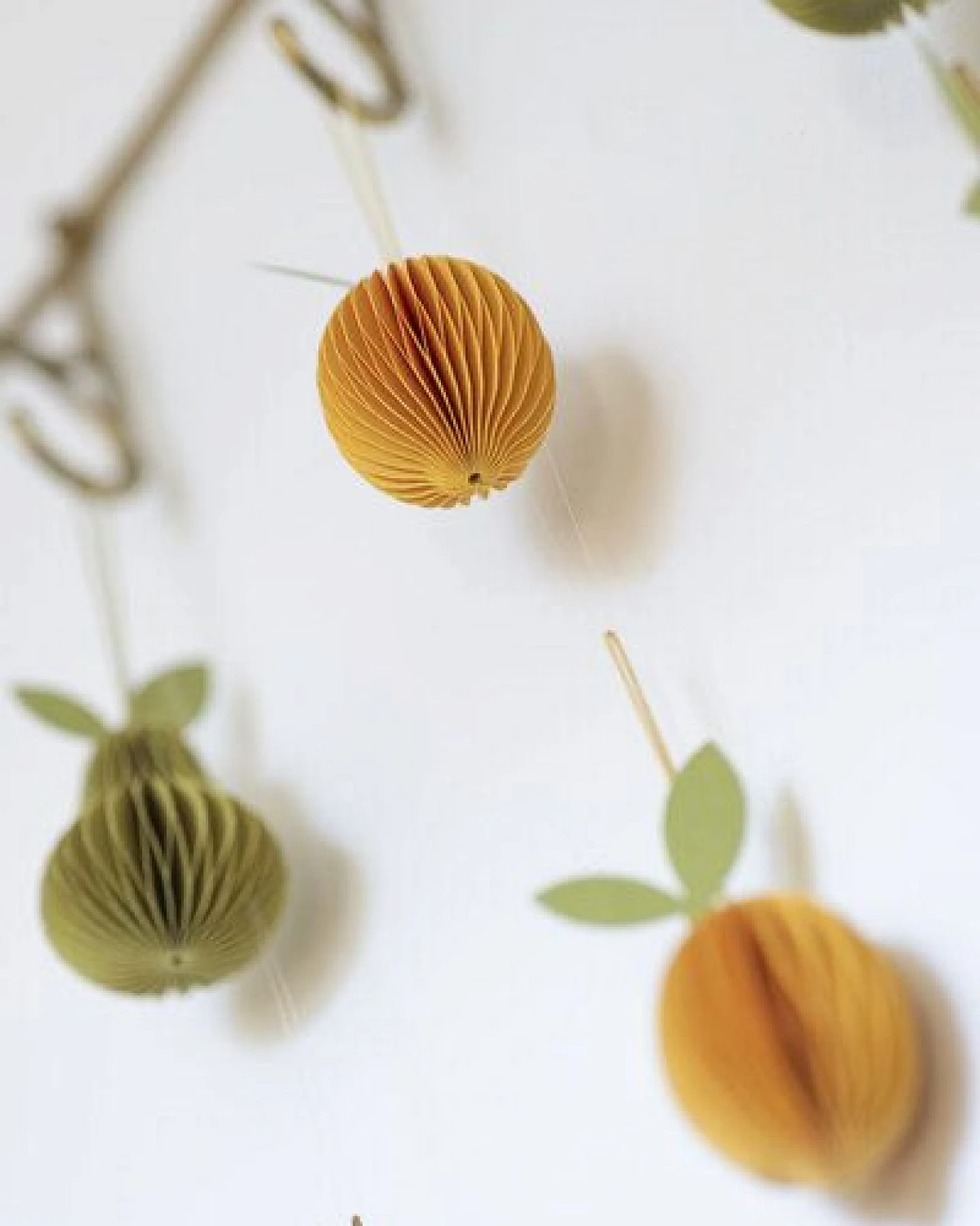 TRANQUILLO Papieranhänger FRUITS (MX879, MX880, MX881) – Ansicht 2