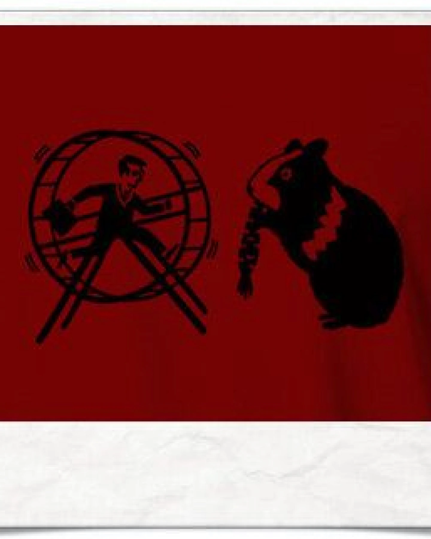 Picopoc T-Shirt Hamster & der Hamsterrad in rot – Ansicht 2