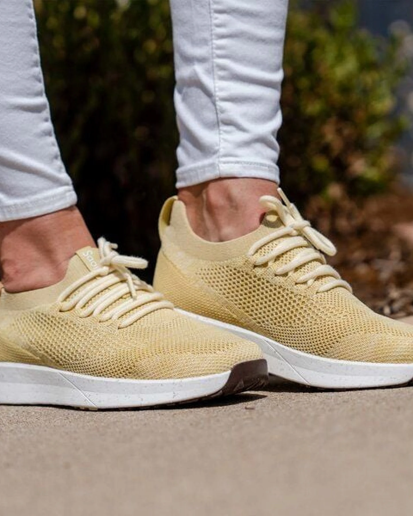 SAOLA Vegan Sneaker Frauen - Tsavo W 2.0 – Ansicht 4