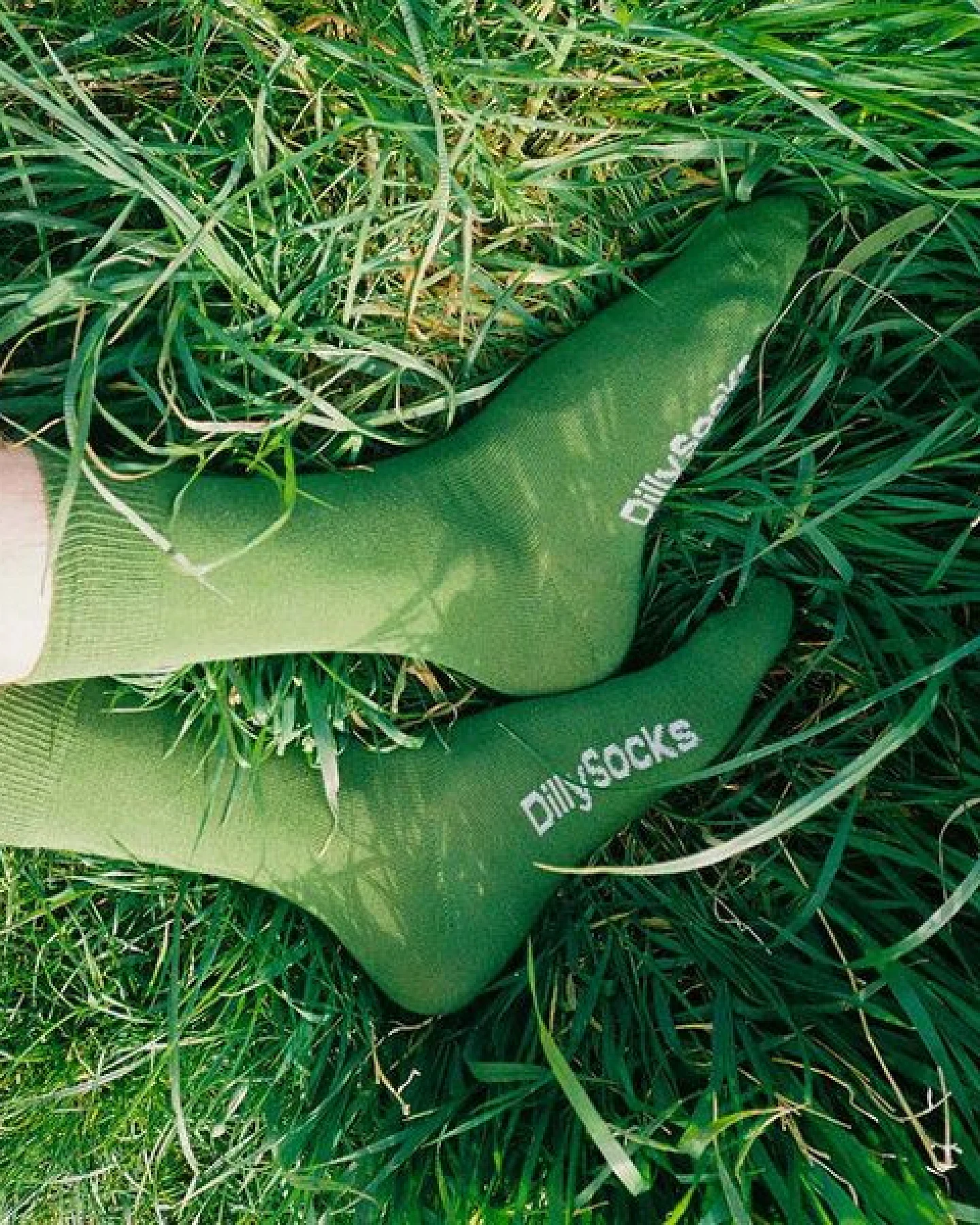 DillySocks D-Compose Socken 2er-Pack, 100% biologisch abbaubar – Ansicht 3