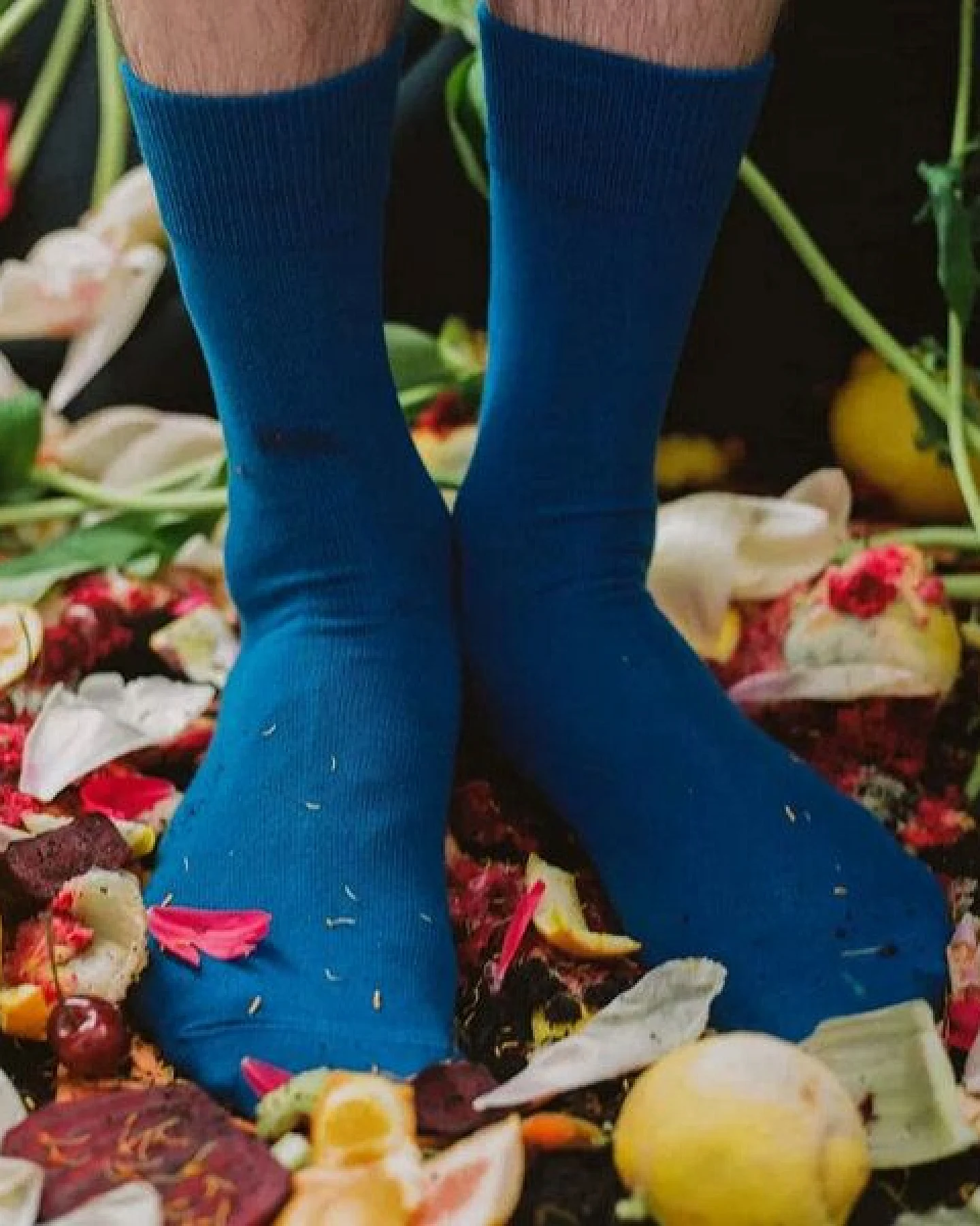 DillySocks D-Compose Socken 2er-Pack, 100% biologisch abbaubar – Ansicht 3