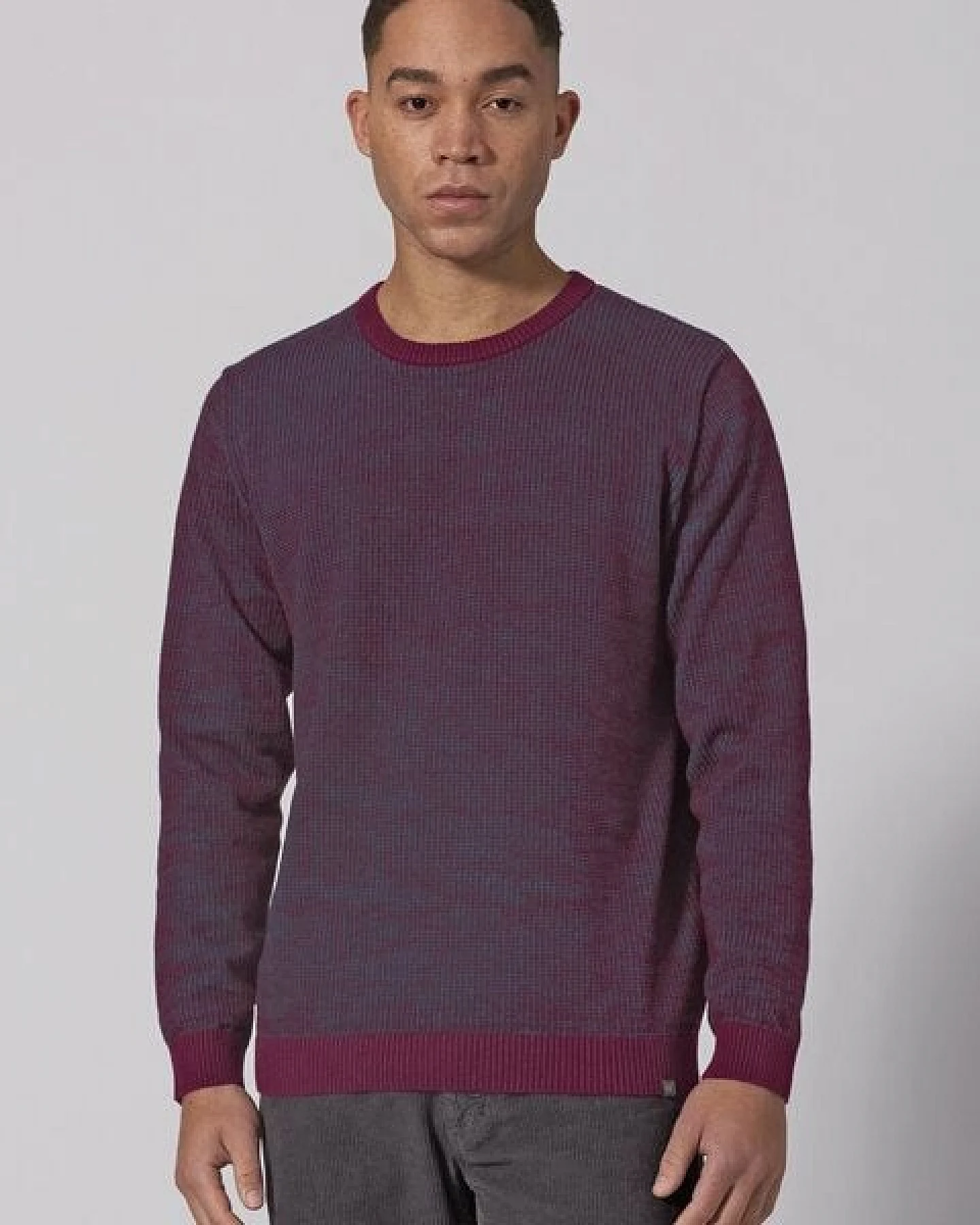 HempAge Herren Strickpullover Rundhalsausschnitt Hanf/Biobaumwolle Normal Fit – Ansicht 2