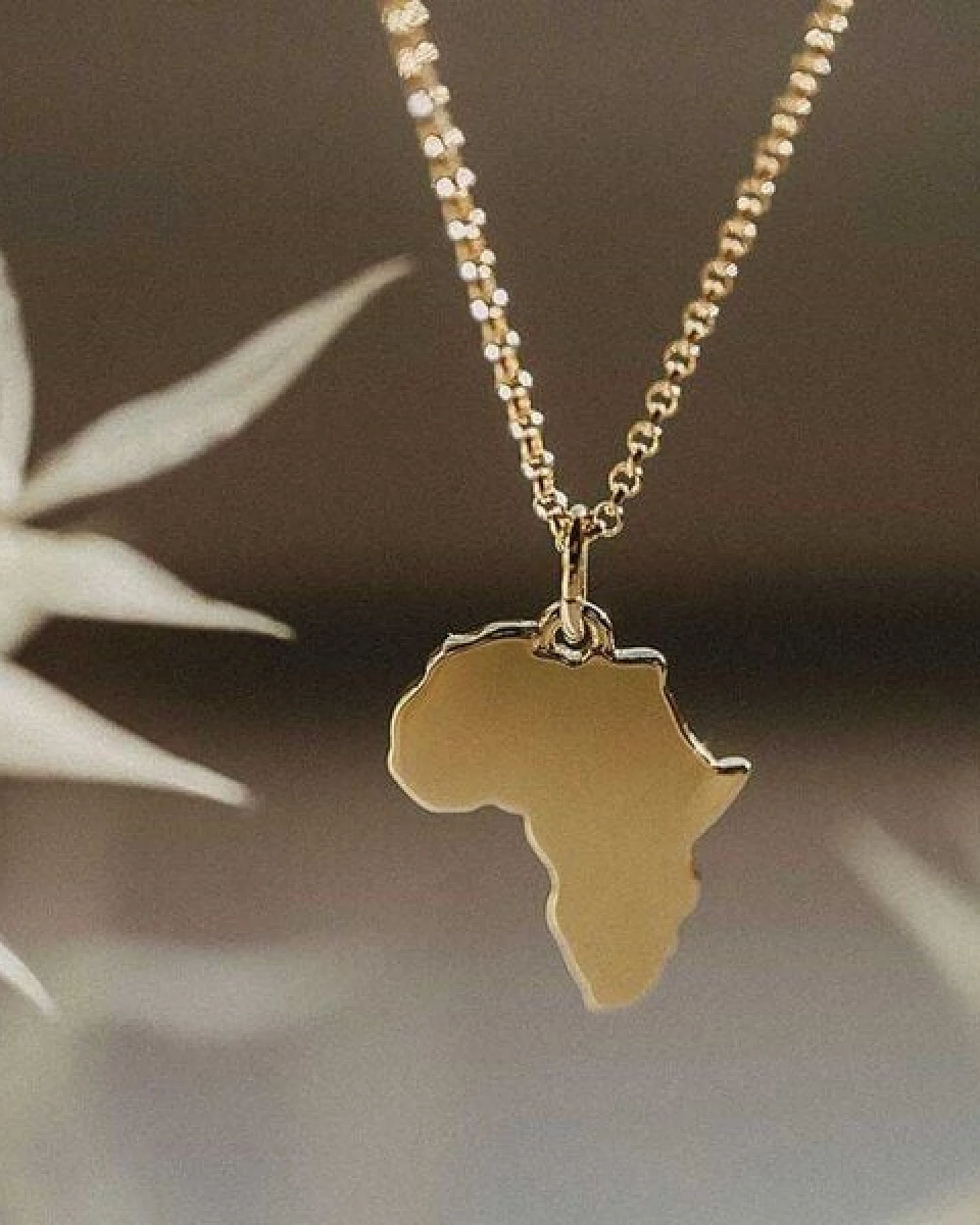 MOANINA Kette Afrika Kontinent • 14k Echtgold – Ansicht 3