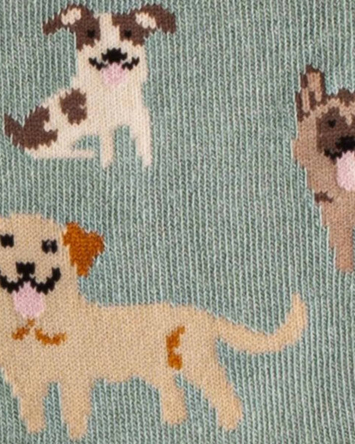 DillySocks Kindersocken Lil Doggy Dog aus Biobaumwoll-Mix – Ansicht 2