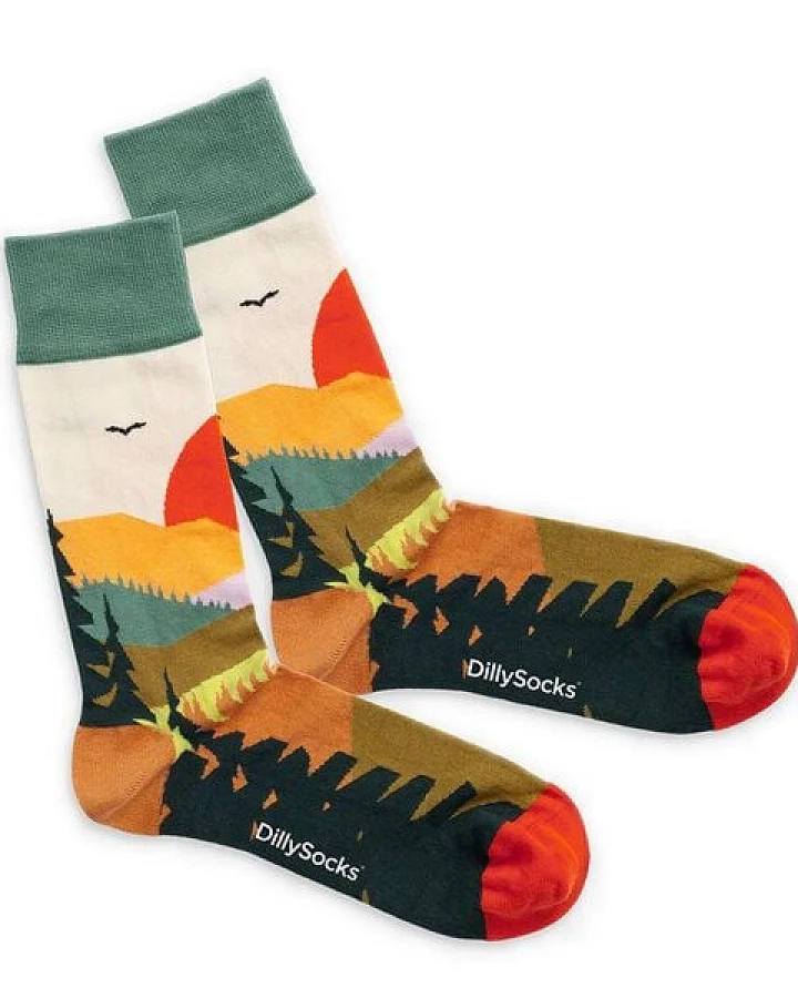 DillySocks Socken Forest Sunset aus Biobaumwoll-Mix