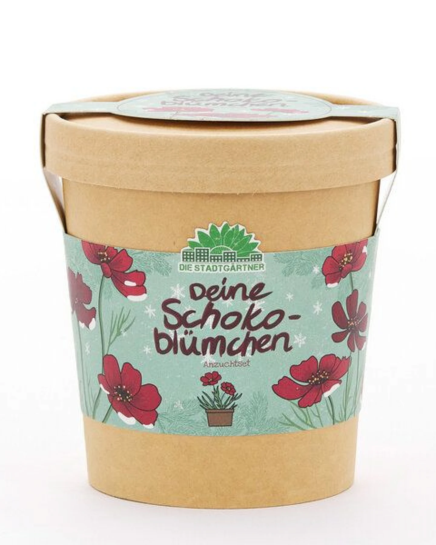 Die Stadtgärtner Schokoblumen aus dem Becher I Anzuchtset I Nachhaltiges Weihnachtsgeschenk – Ansicht 2