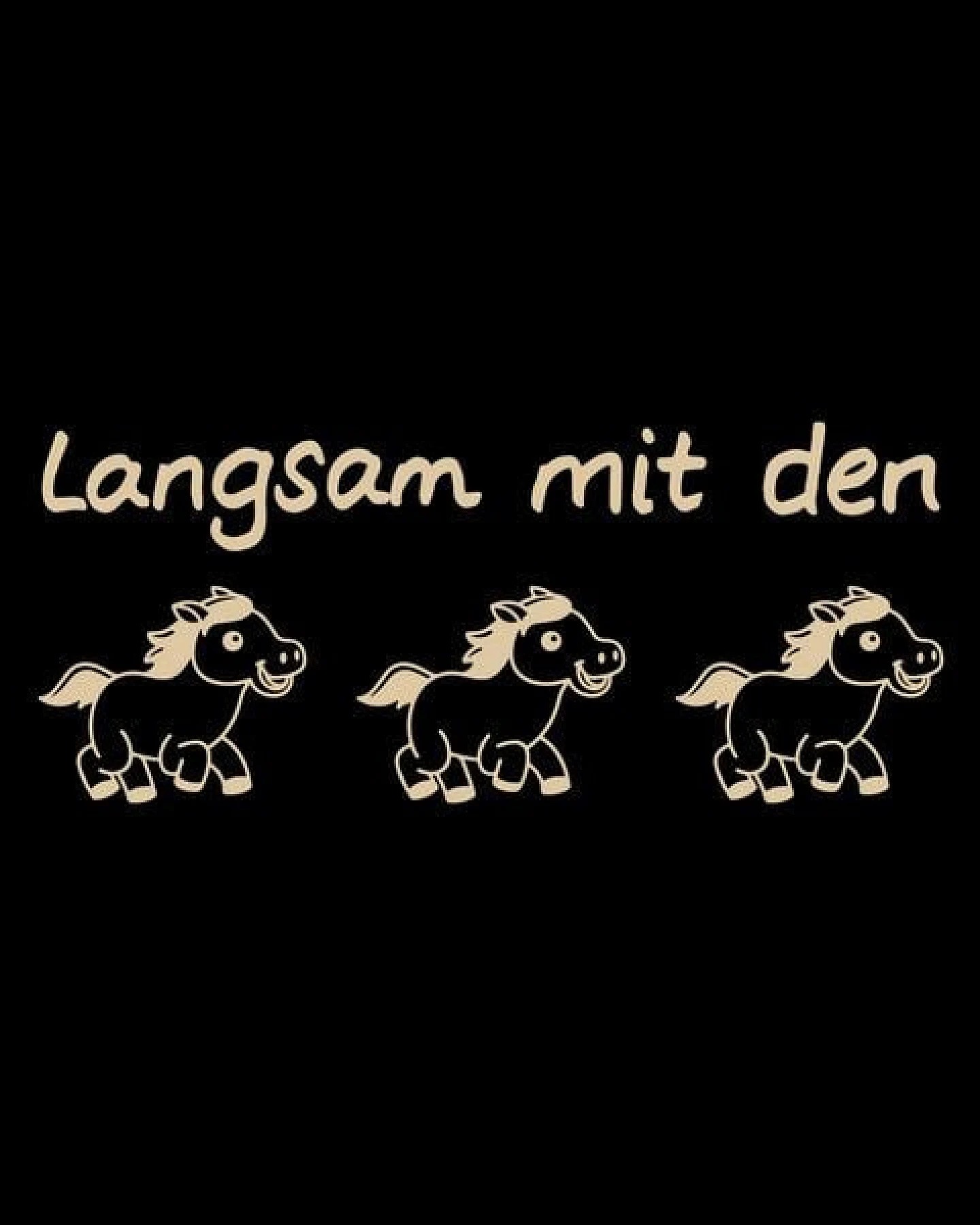 GARY MASH Shirt Taylor Langsam mit den Pferden aus Biobaumwolle – Ansicht 4