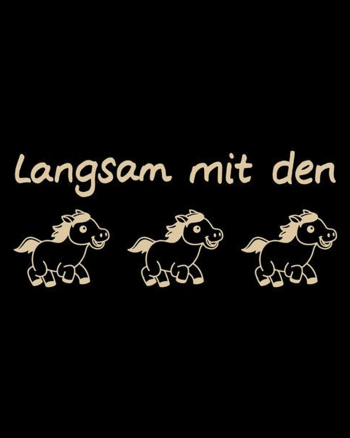 GARY MASH Shirt Taylor Langsam mit den Pferden aus Biobaumwolle – Ansicht 4