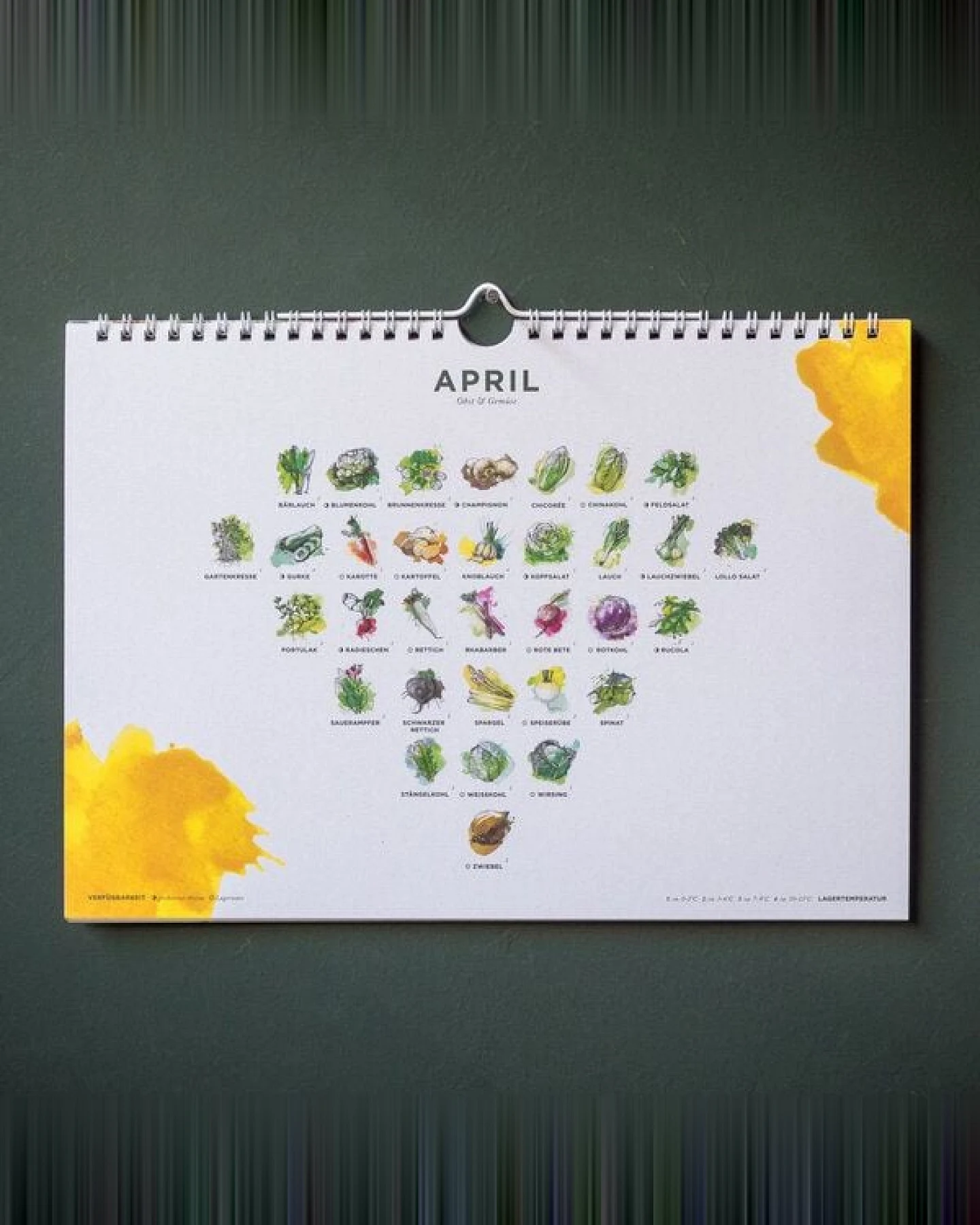 531 Rheinland Design Saisonkalender Obst & Gemüse, Ringkalender: 101 Sorten – Ansicht 4