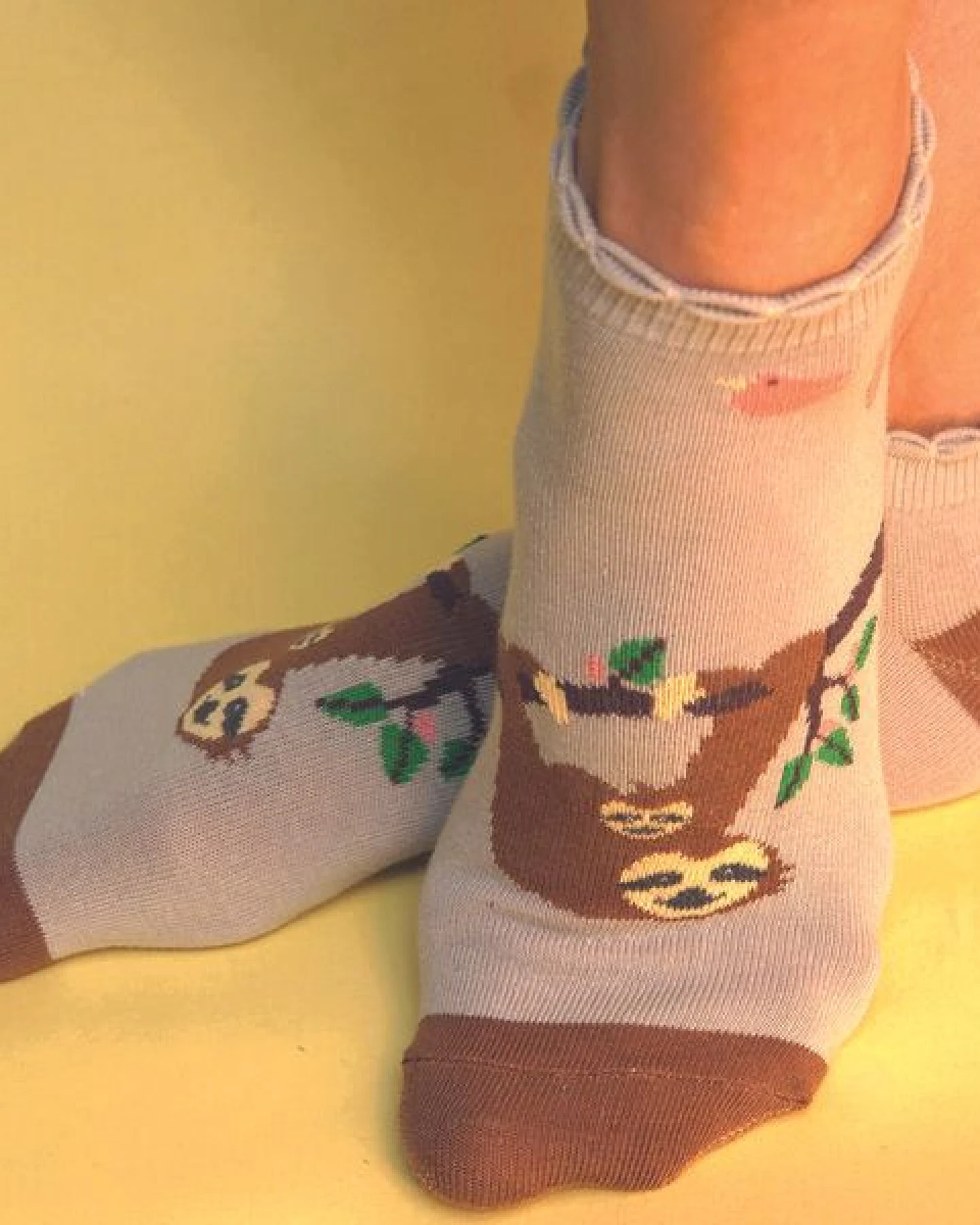 Fräulein Prusselise Faultier Sneaker Socke, story, beige, nature, bunt gemustert – Ansicht 2