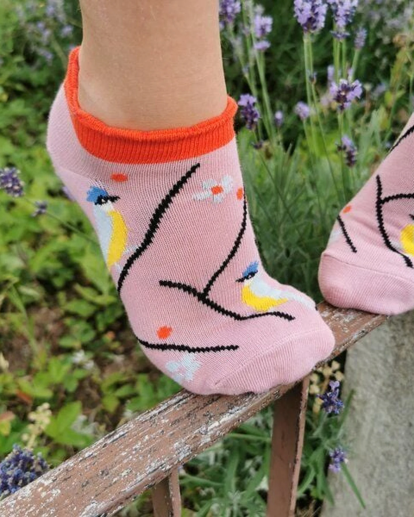 Fräulein Prusselise Meise Sneaker Socke, rosa, Vogel, nature, bunt gemustert – Ansicht 3