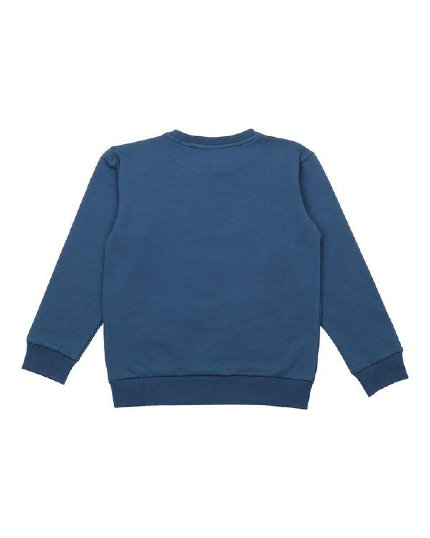 Kinder Sweatshirt GOTS zertifiziert – Blau mit Motiv, weich & bequem – Ansicht 3